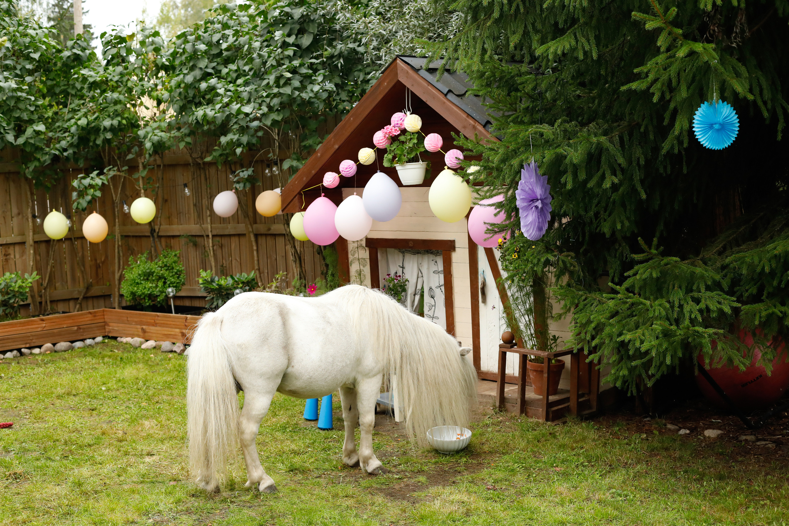 5 vuotta (kotona). Ekaterina Mansur, muotokuvafotografi Suomessa (Helsingissä ja Uudellam