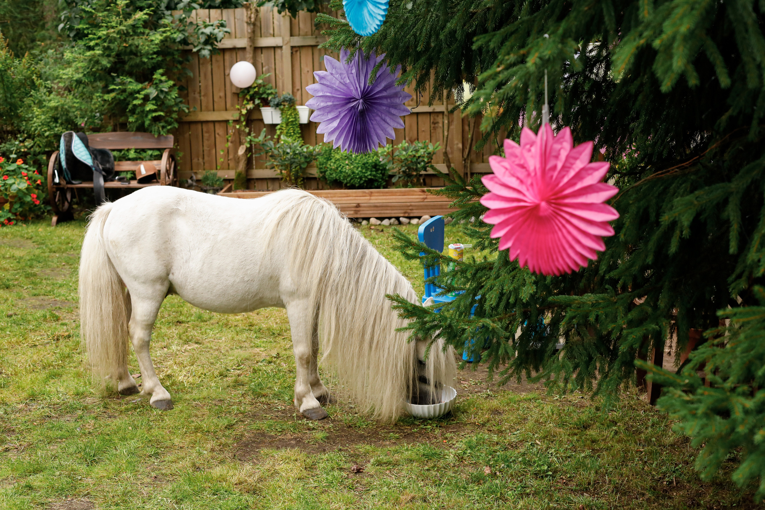 5 vuotta (kotona). Ekaterina Mansur, muotokuvafotografi Suomessa (Helsingissä ja Uudellam