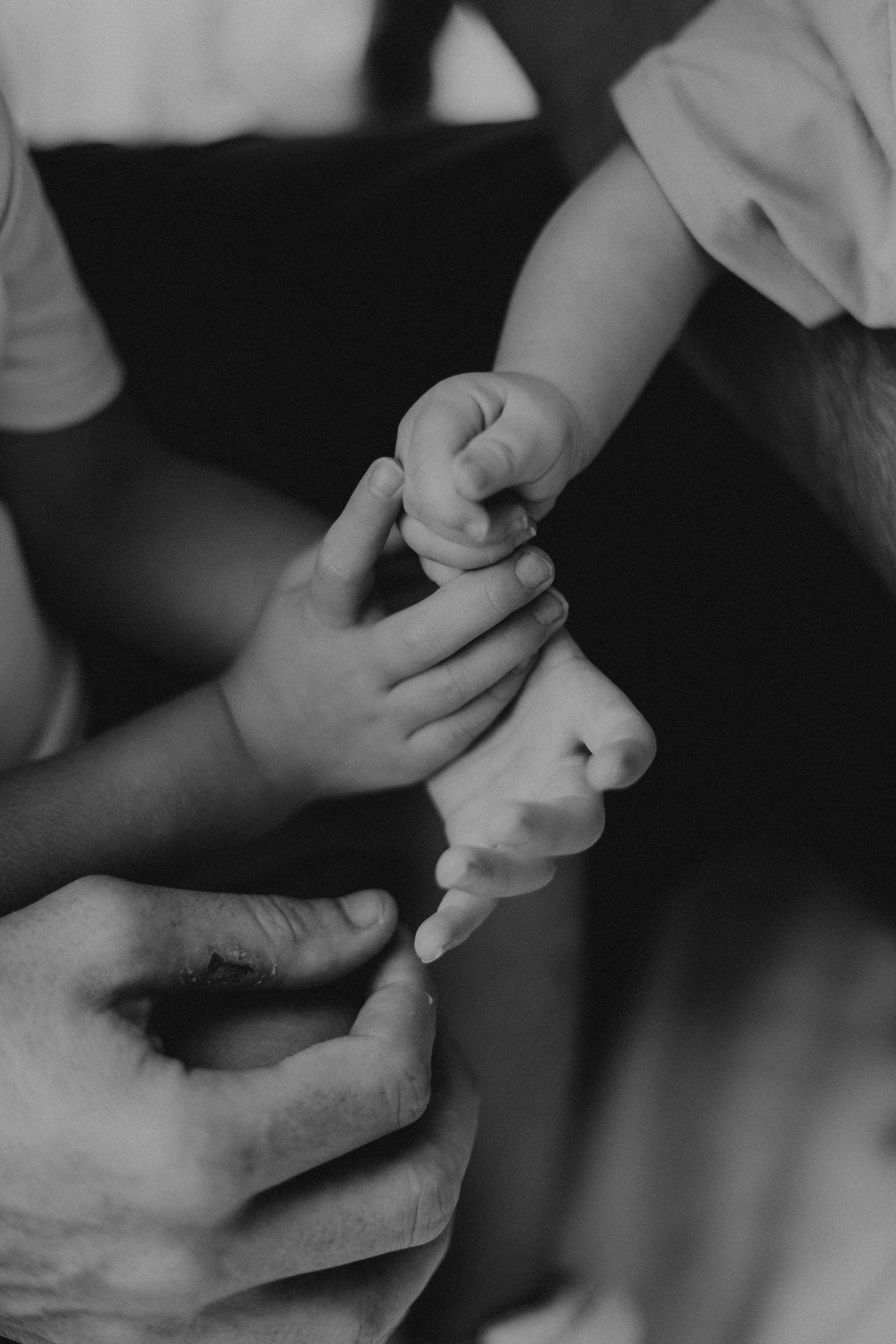 The Woods. CAPTURED BY SHANKS PHOTOGRAPHY