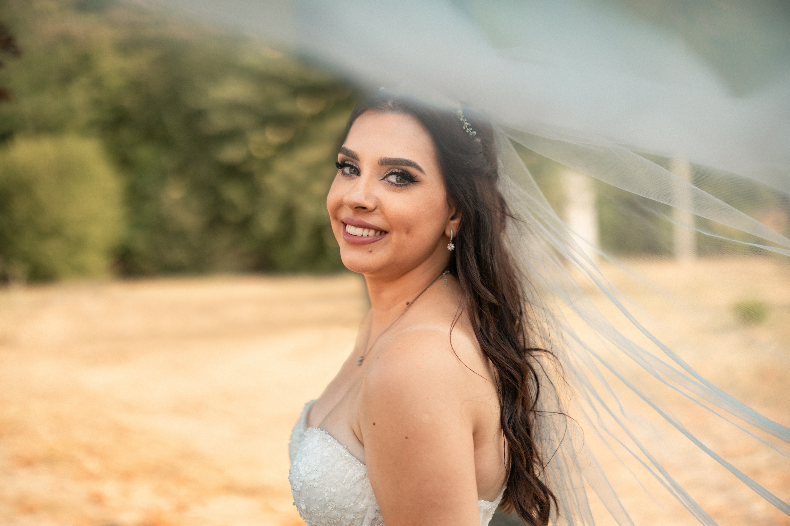 Photography. Alexandar weddings: Home