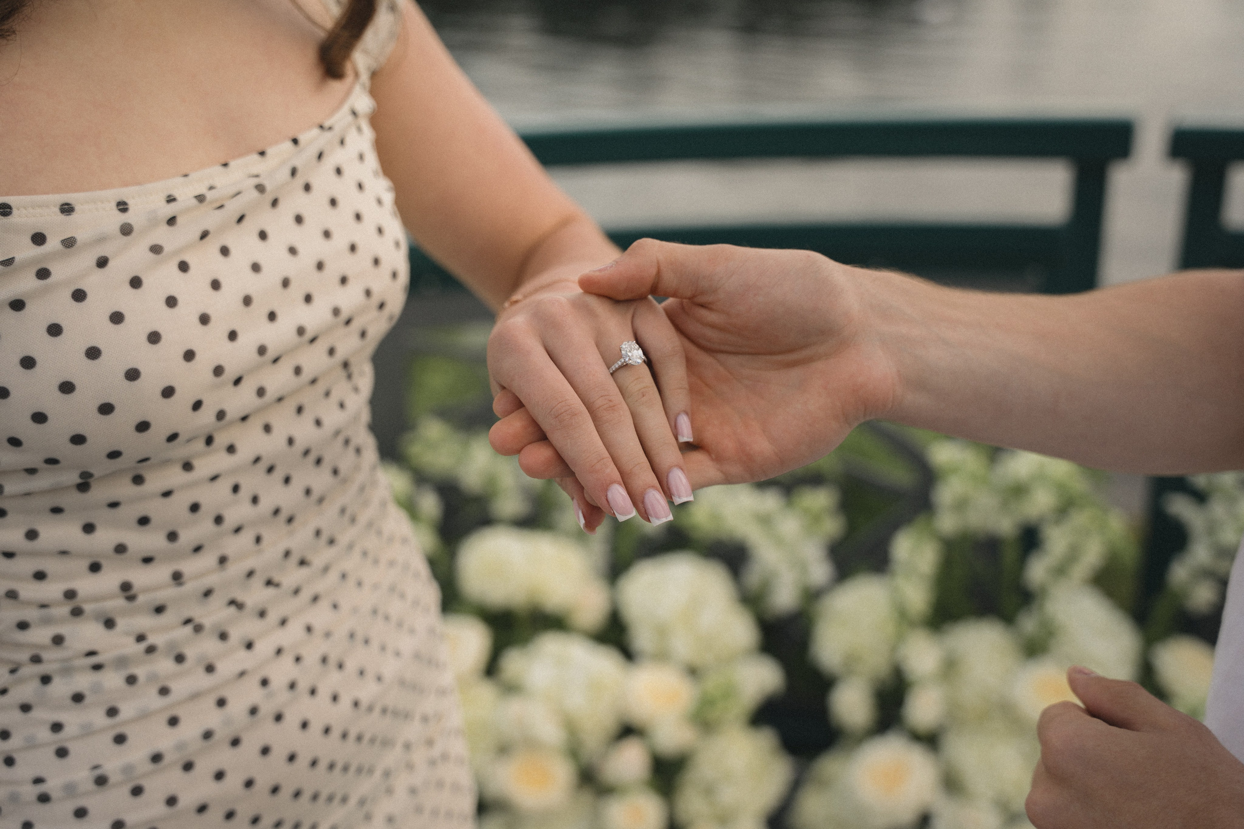 Ilya and Olena proposal. Photographer in Washington Sophia D