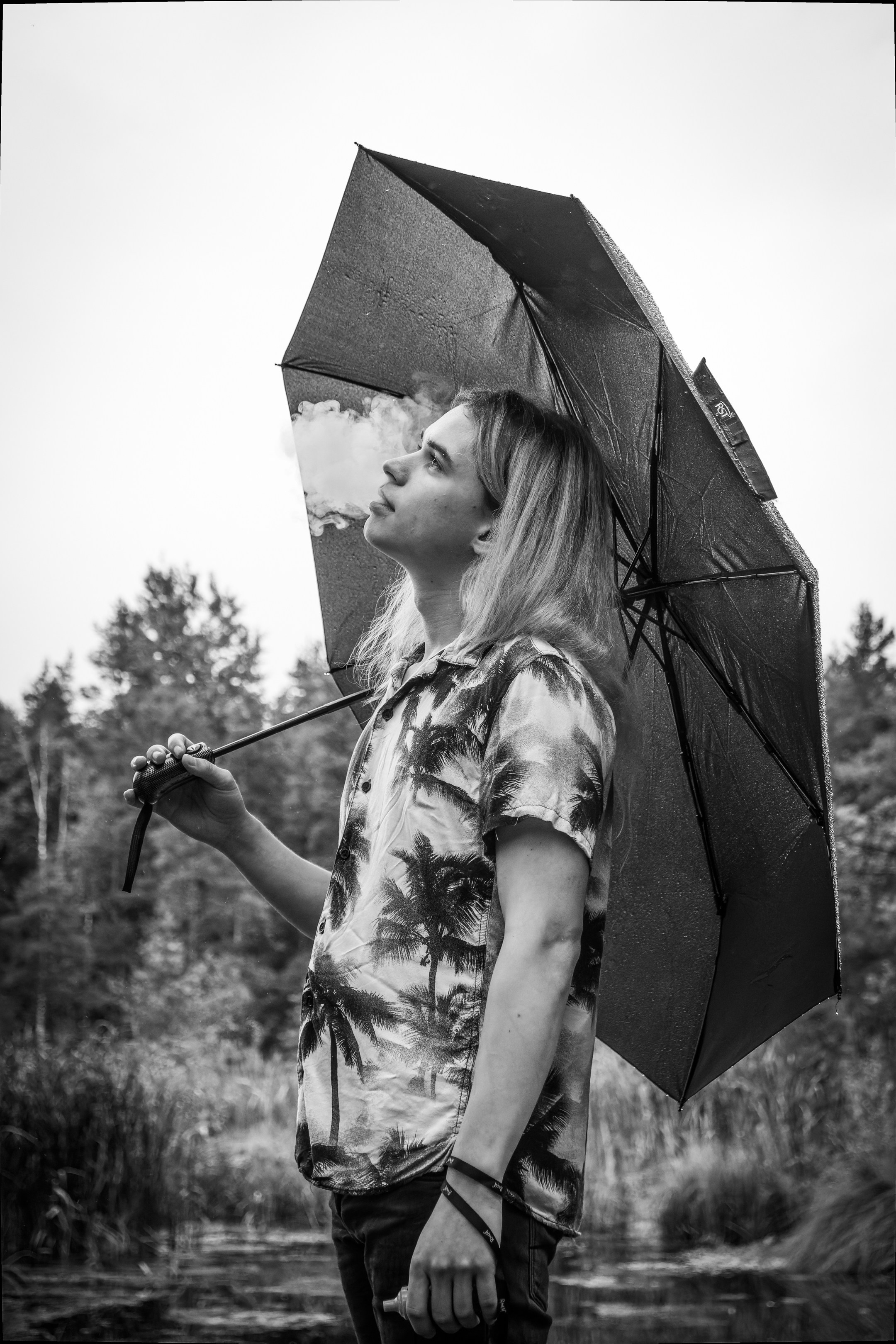 Mets, vihm ja jahedus (Dimitry). Nebula 25 — Fotod teie hingele