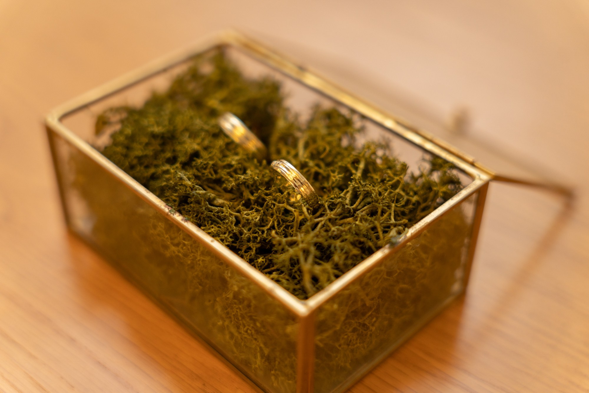 Aleksandra&Martin. RODINNÁ FOTOGRAFKA LABYK KATERYNA