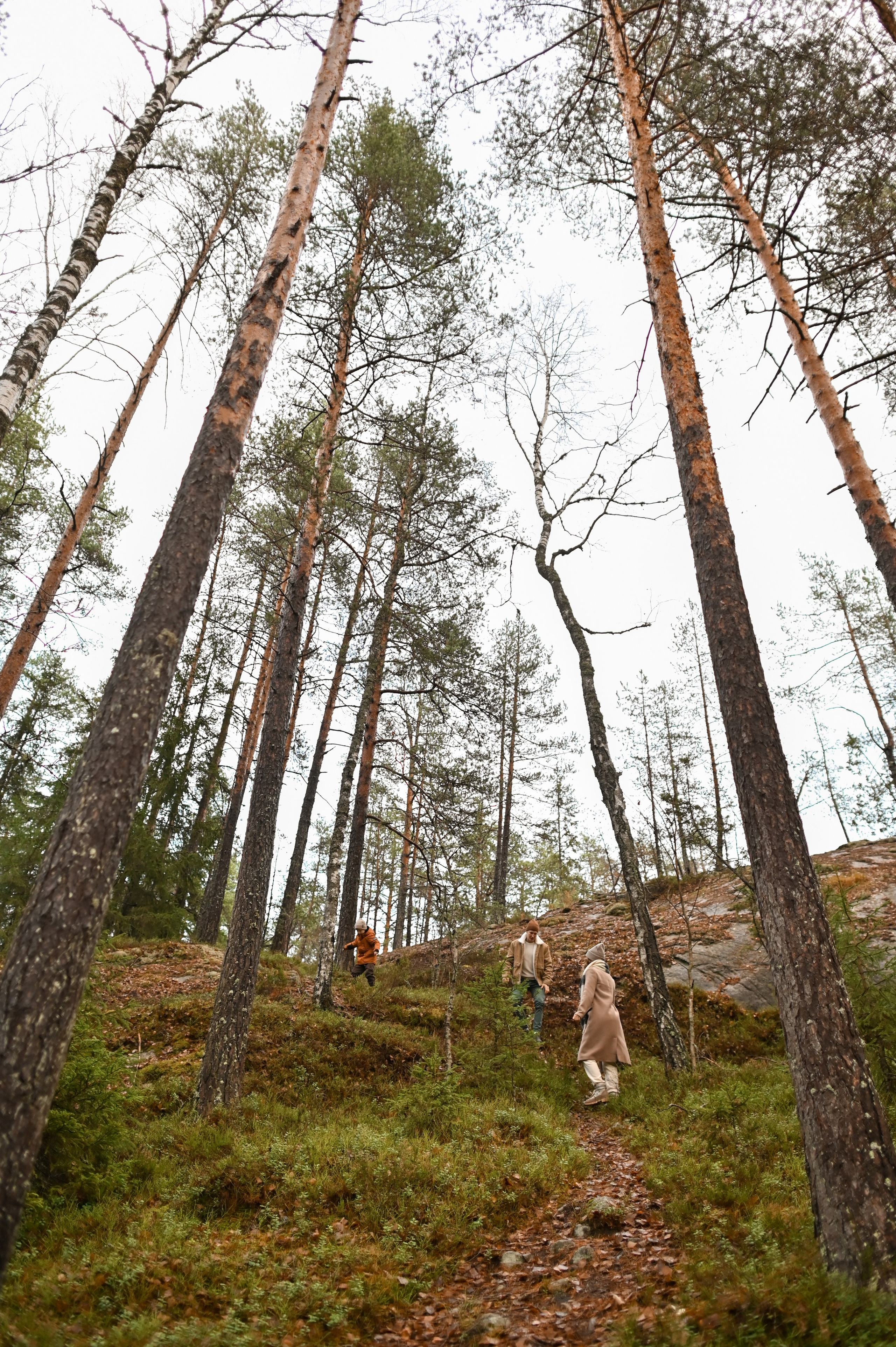 Пикник у озера. Детский и семейный фотограф в финляндии дина пулкка. контент фотограф