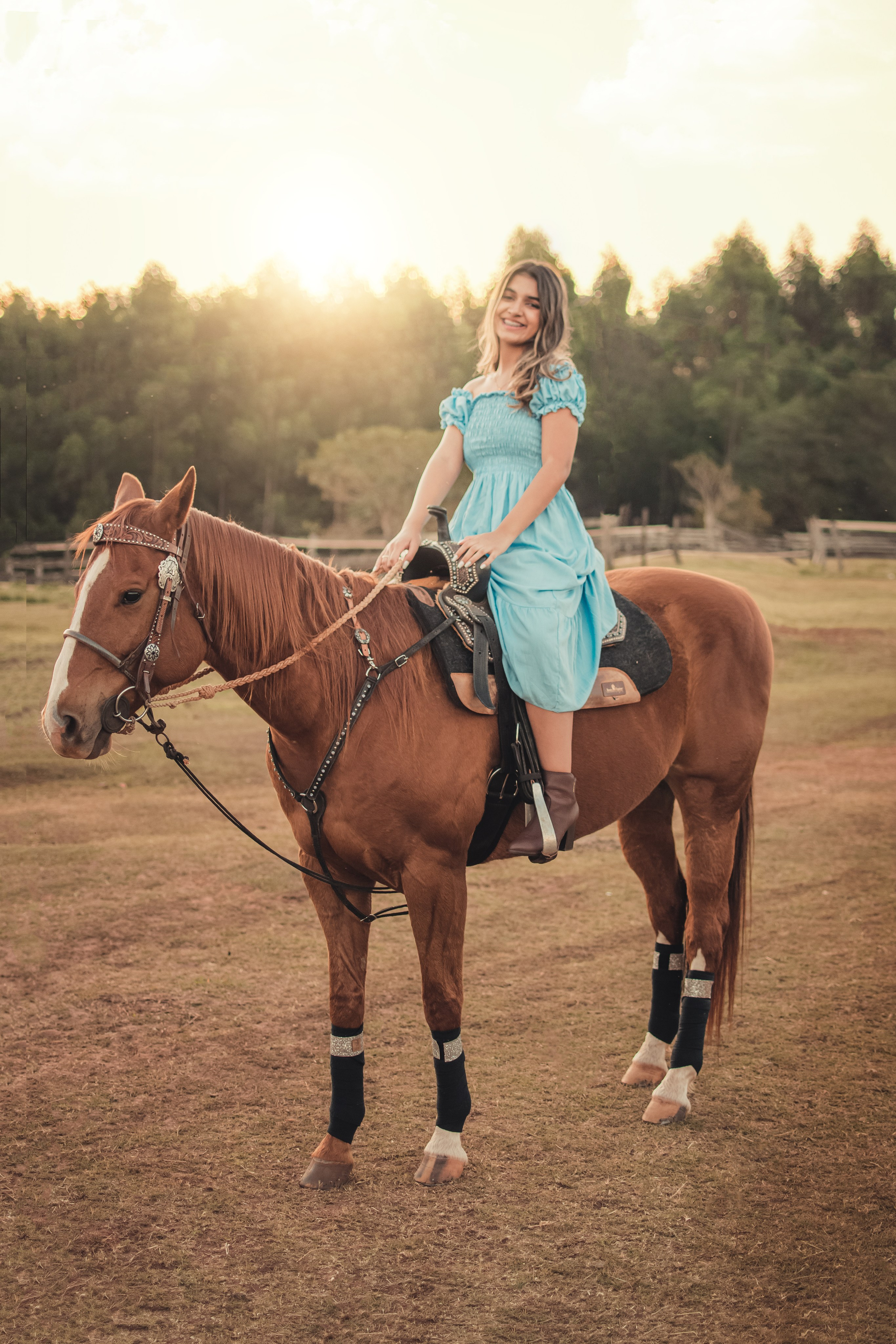 Livia — Haras / Agudos SP. Robson Colaço