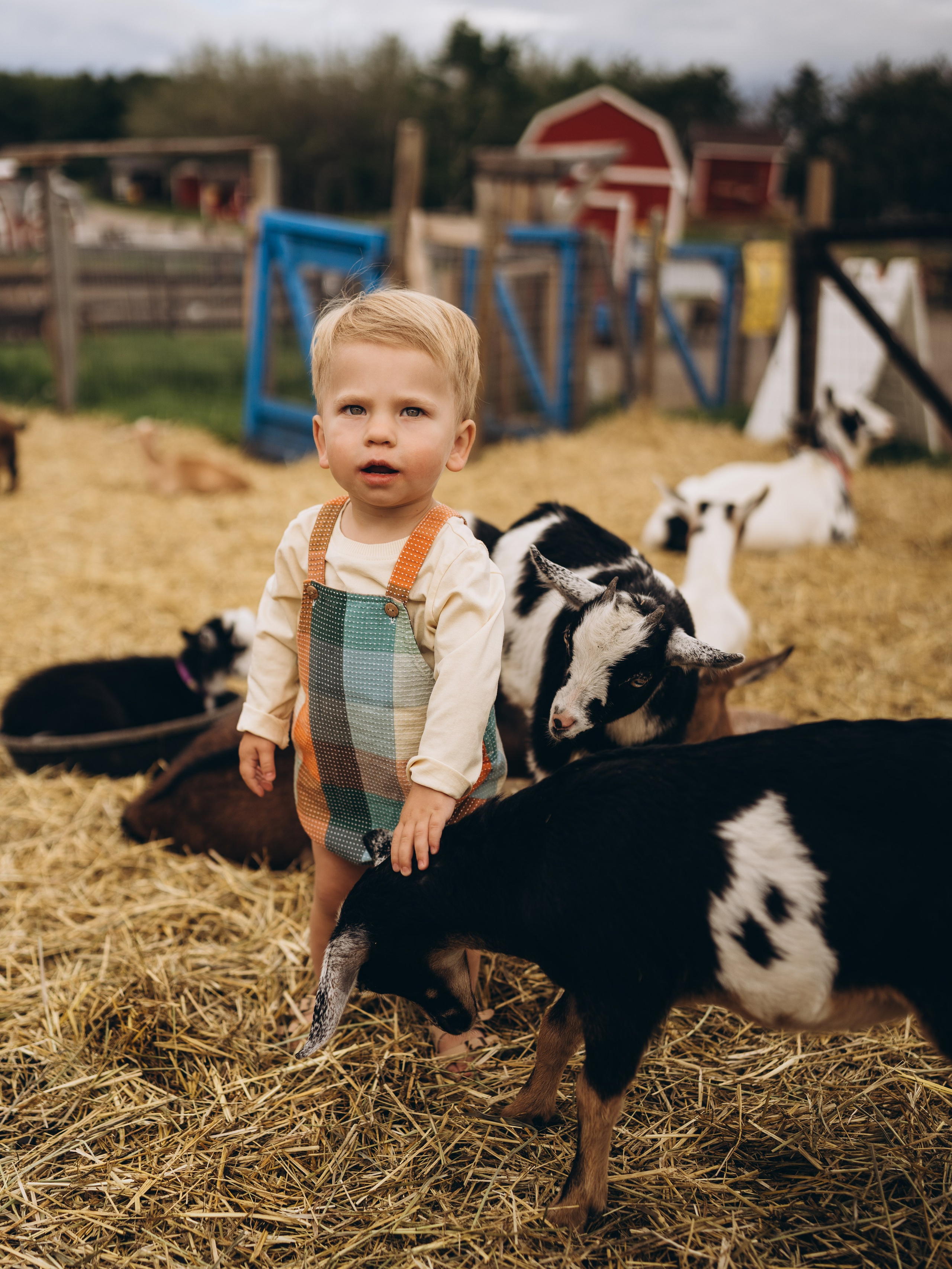 Lev. Calgary Wedding & Lifestyle Photographer — Yevhen Polishchuk