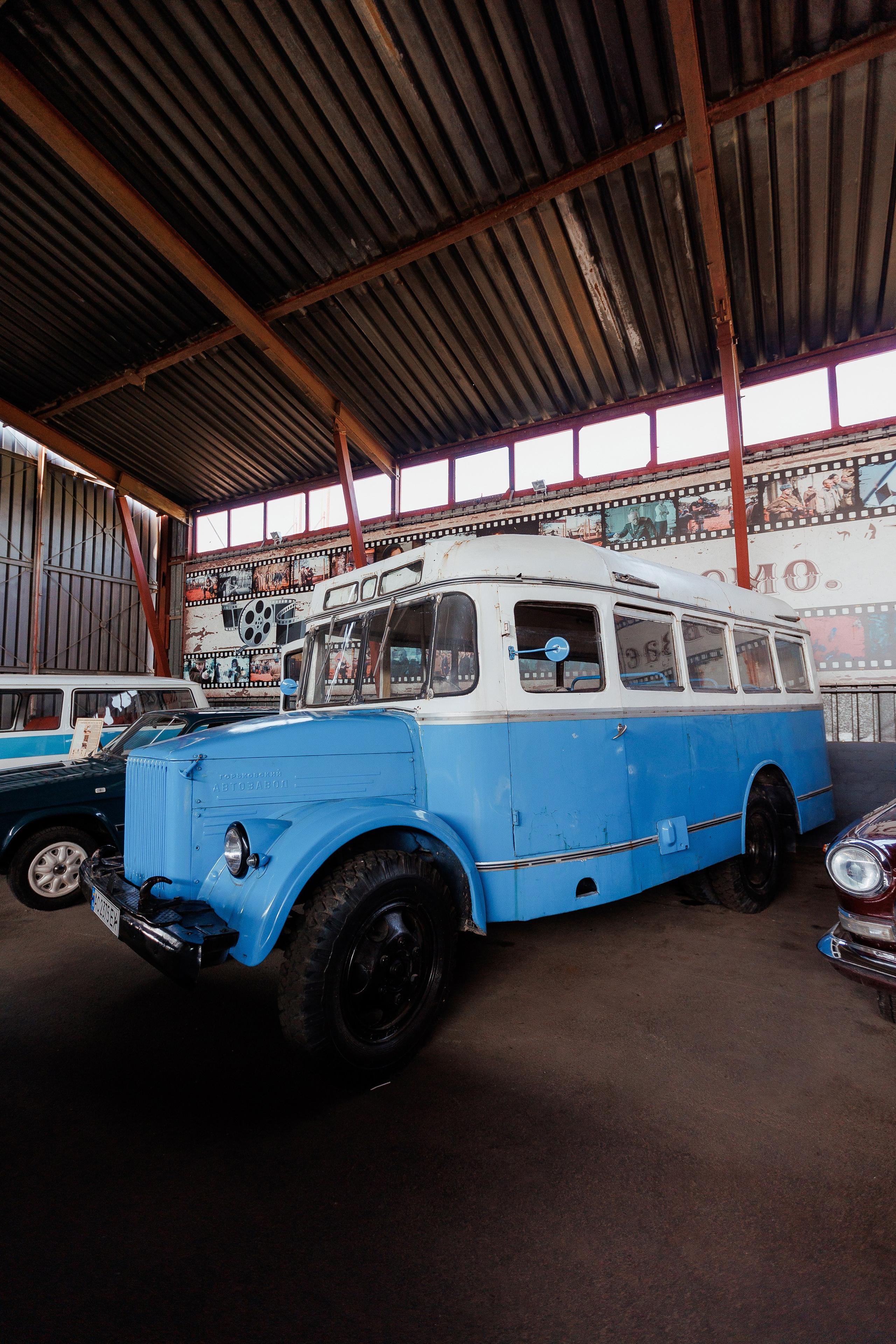 Екопарк Аміла. Ірина Терещук