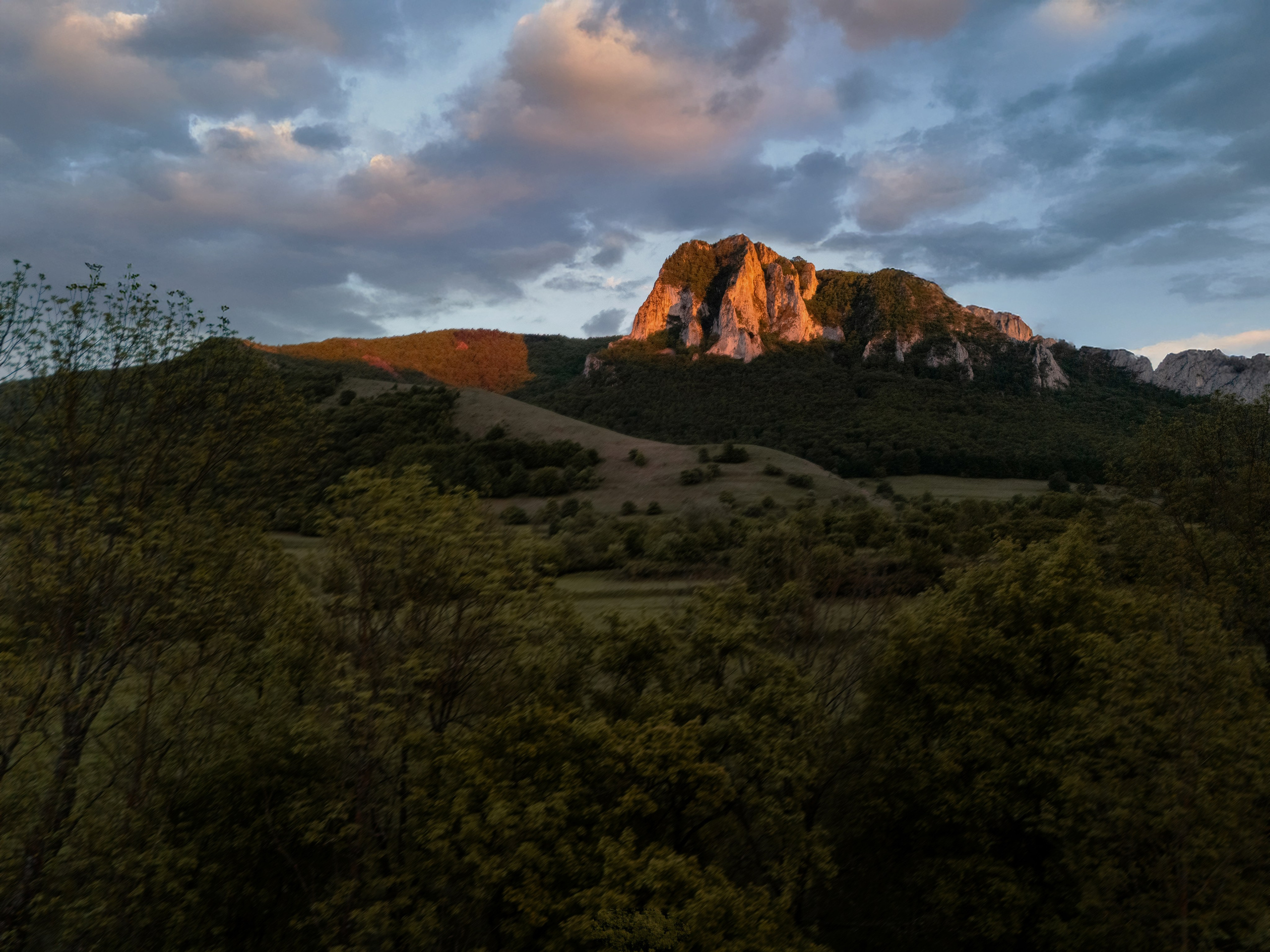 Reviews. Alexandru Avram | Photographer