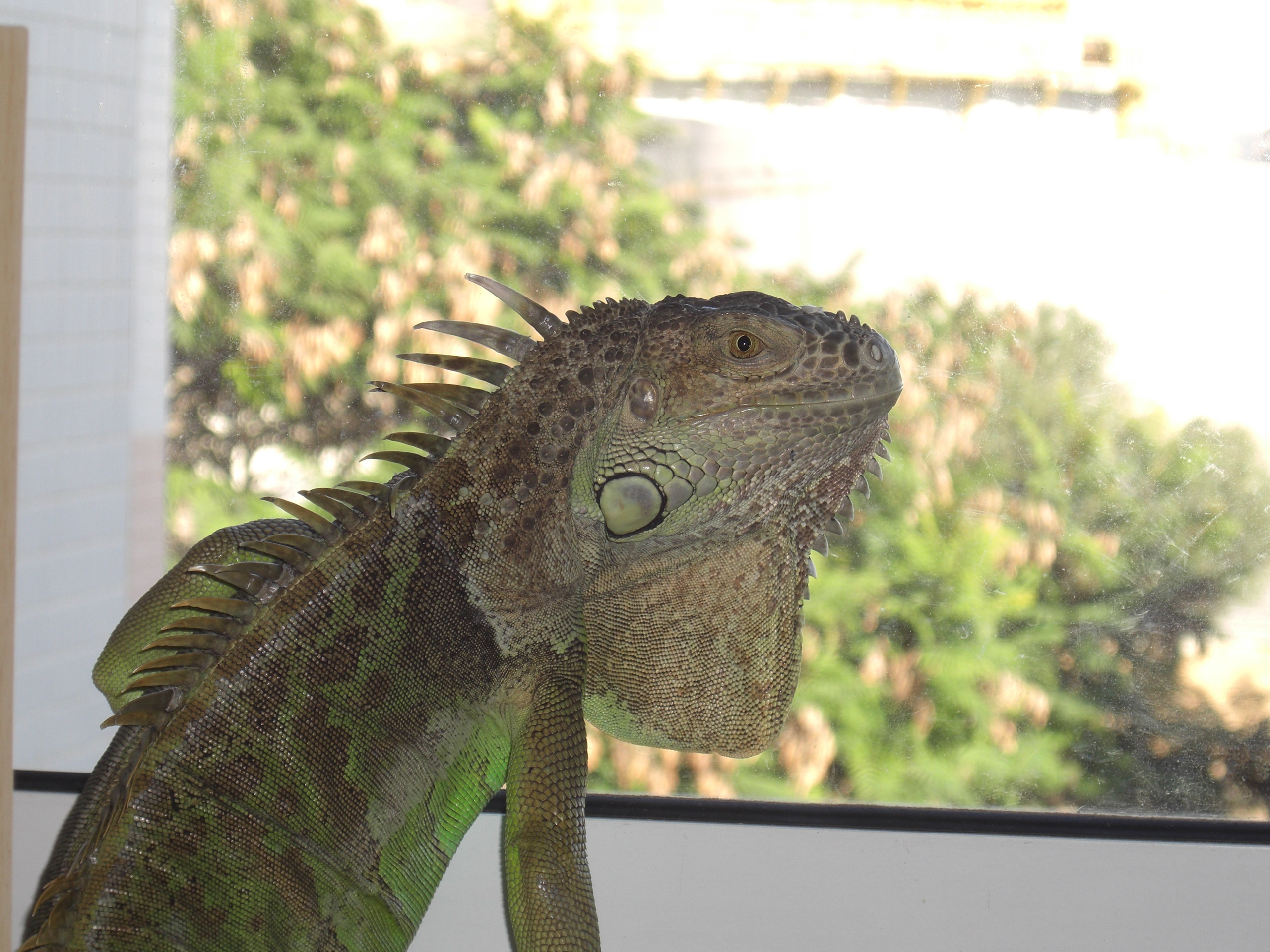 Everything from everything