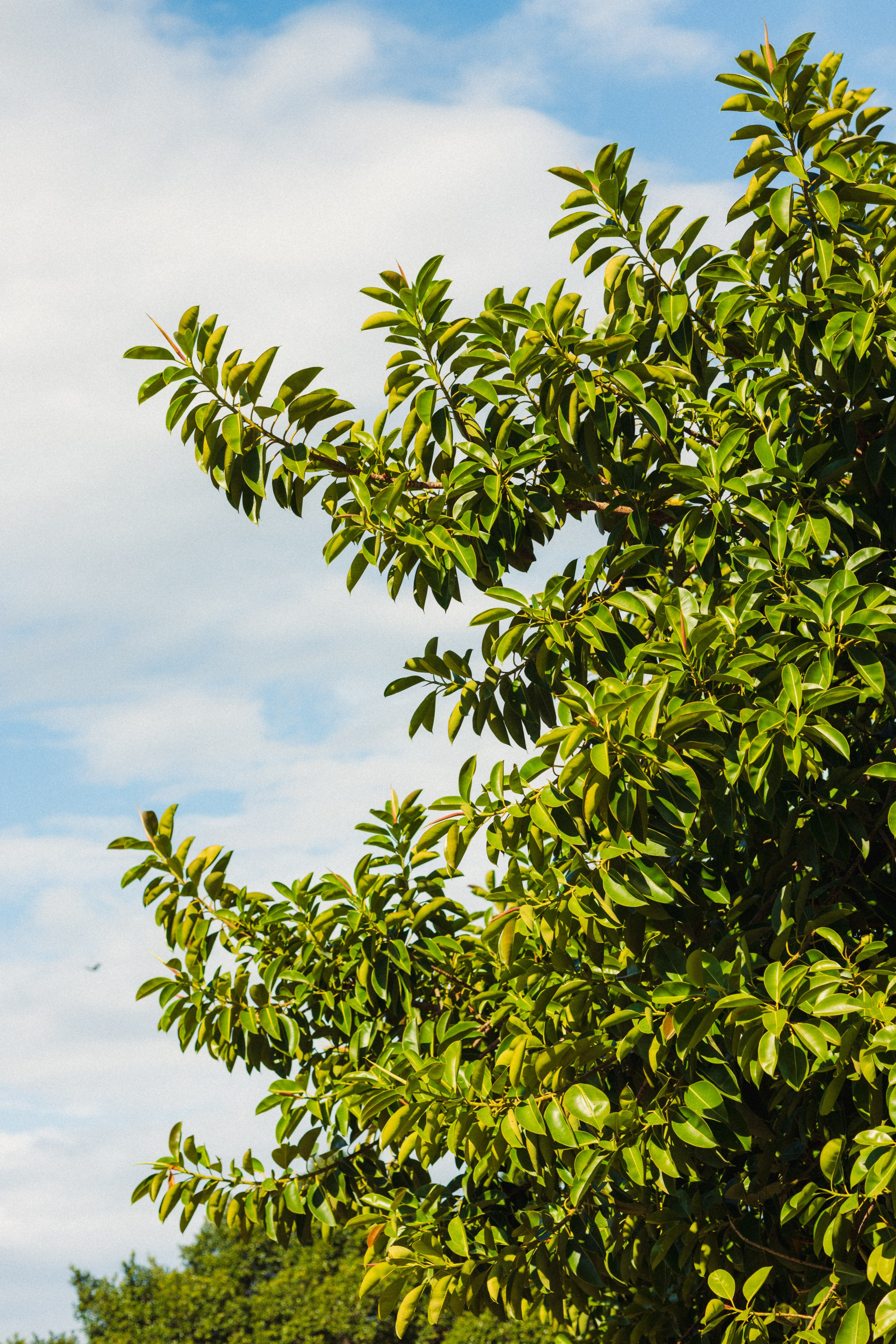 Malta. Aleks.photo | Book a photoshoot