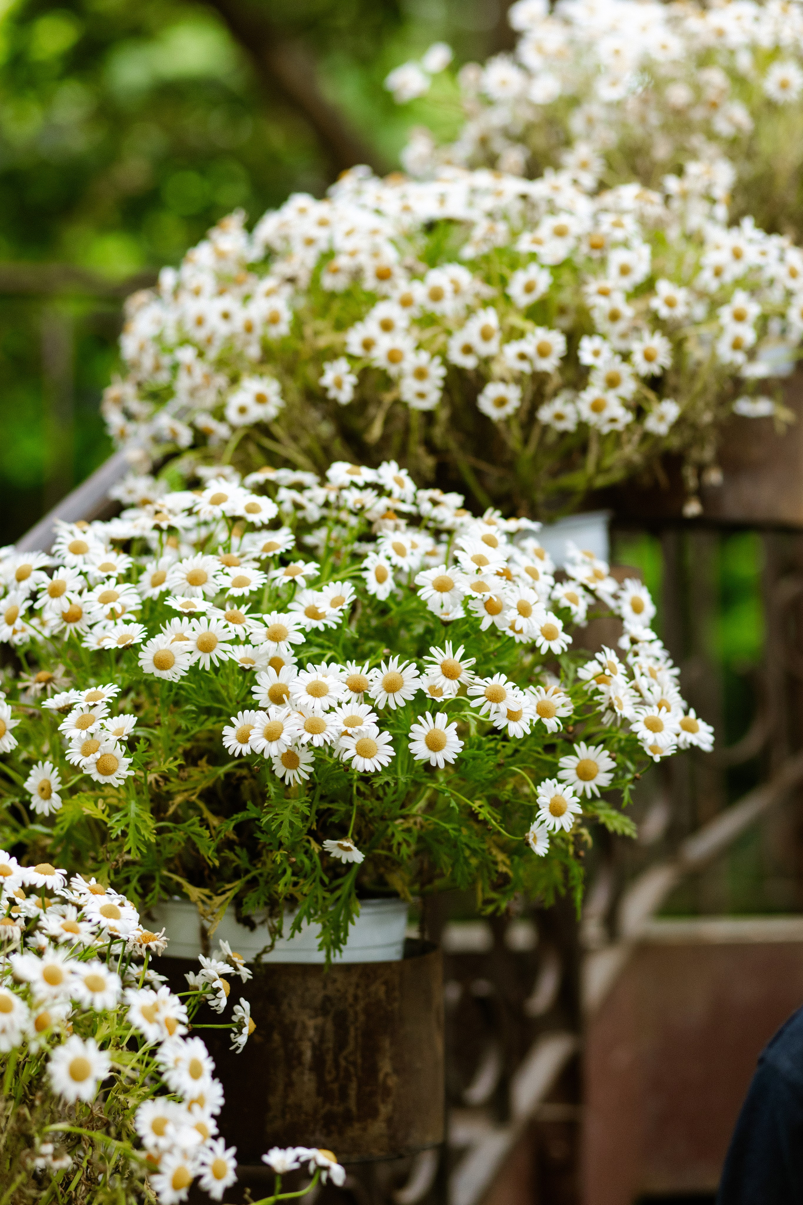Swann & Zeineb. Photographer in Paris