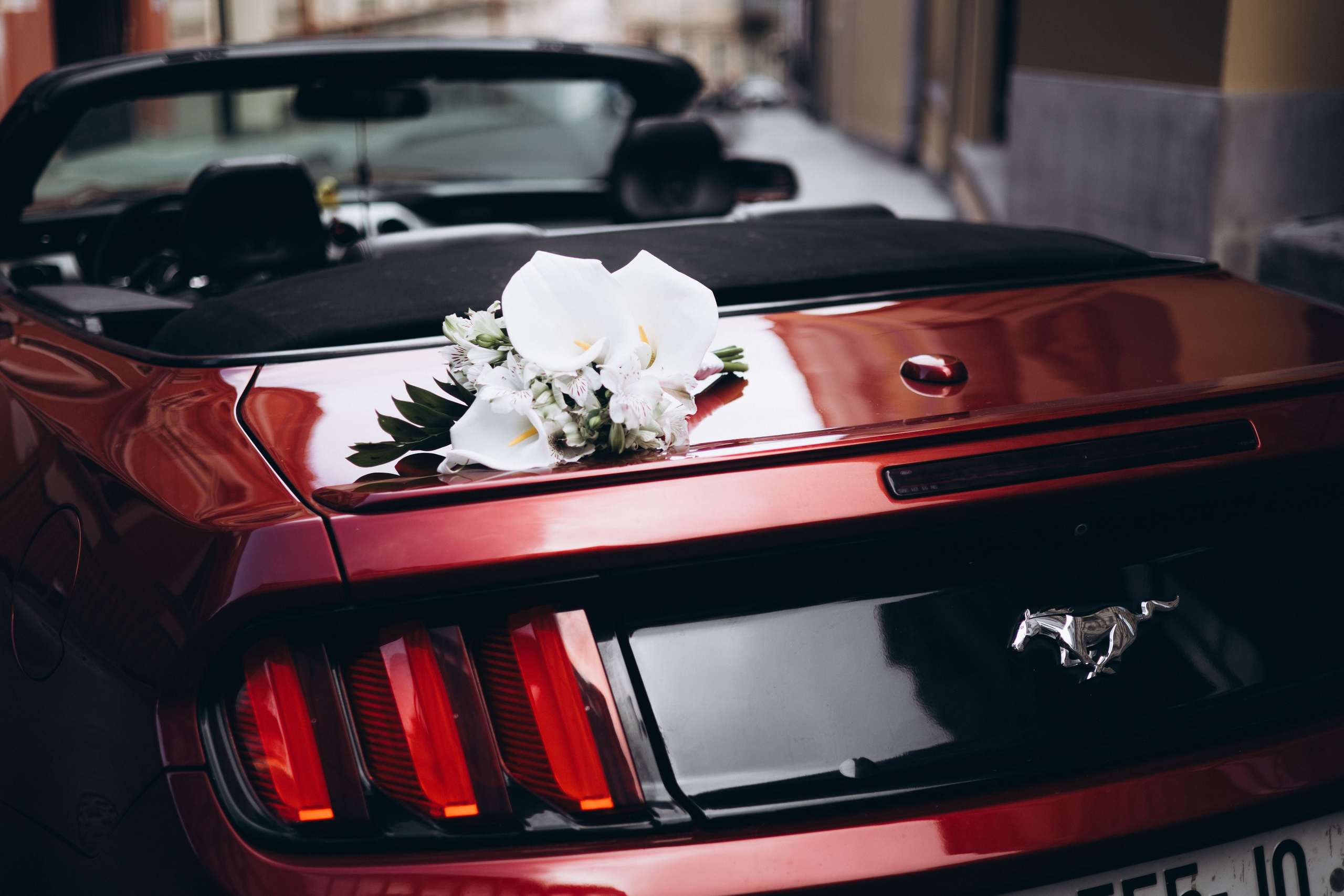 In the Wind’s Breath. Https://shi-photo.com/