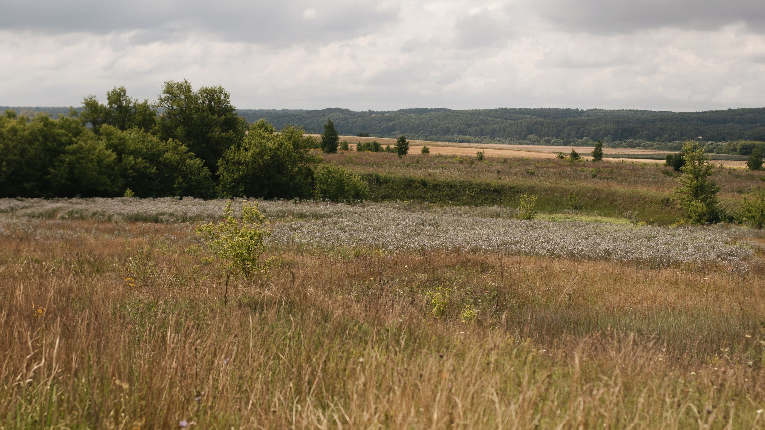 Летние каникулы, Мценск