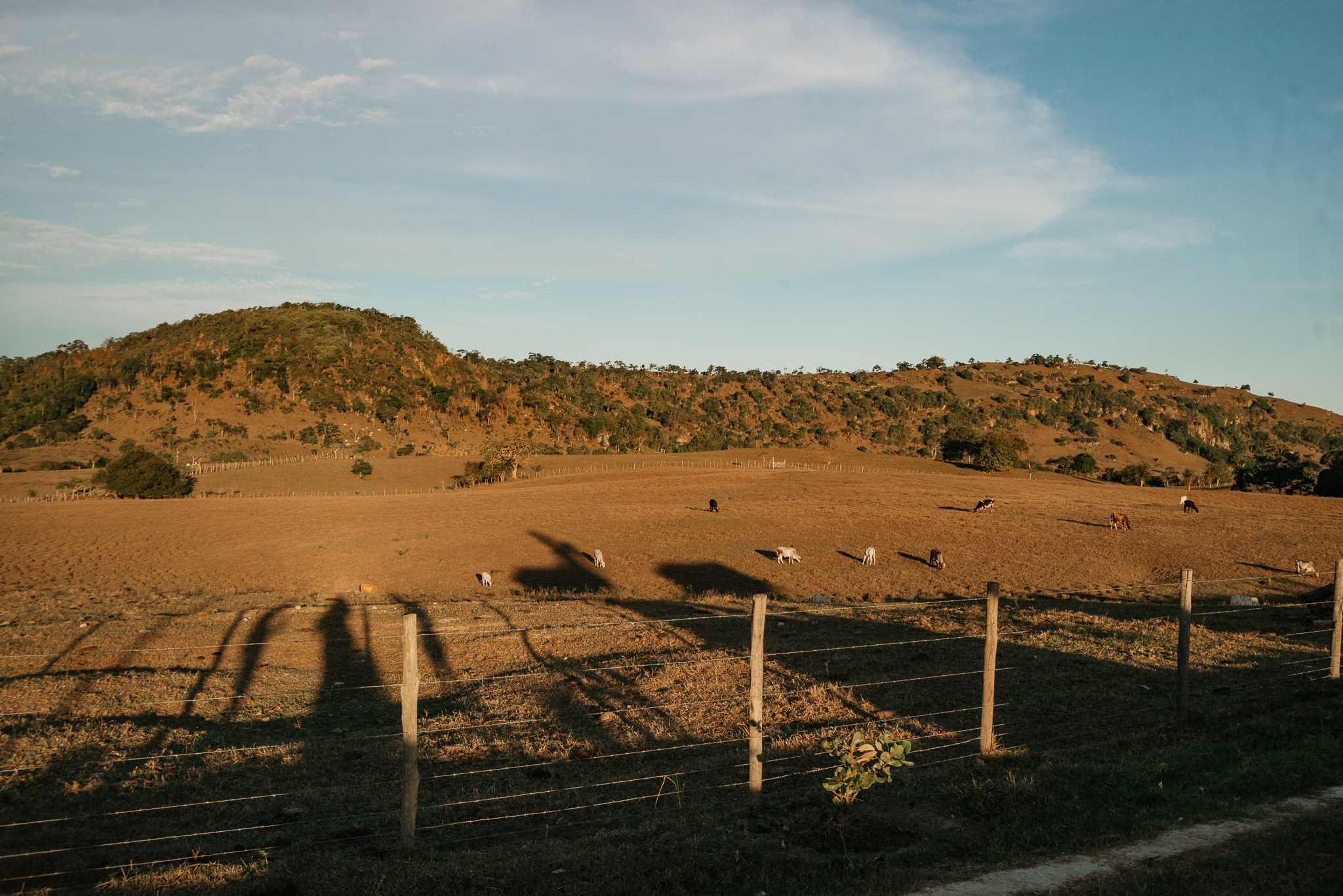 CASAMENTO — AMANDA & GUSTAVO. Fotografo de ensaios e casamentos