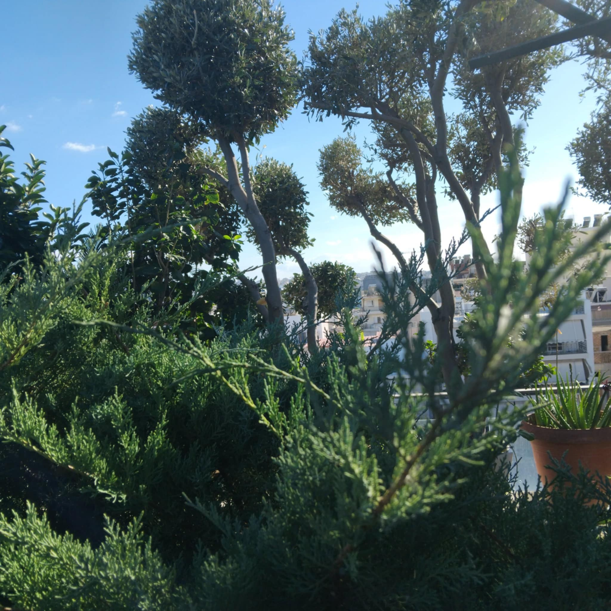 Κήπος Πειραιά. Geoponitikon-Όταν η Επιστήμη συναντά την Τέχνη στο Φυσικό Τοπίο!