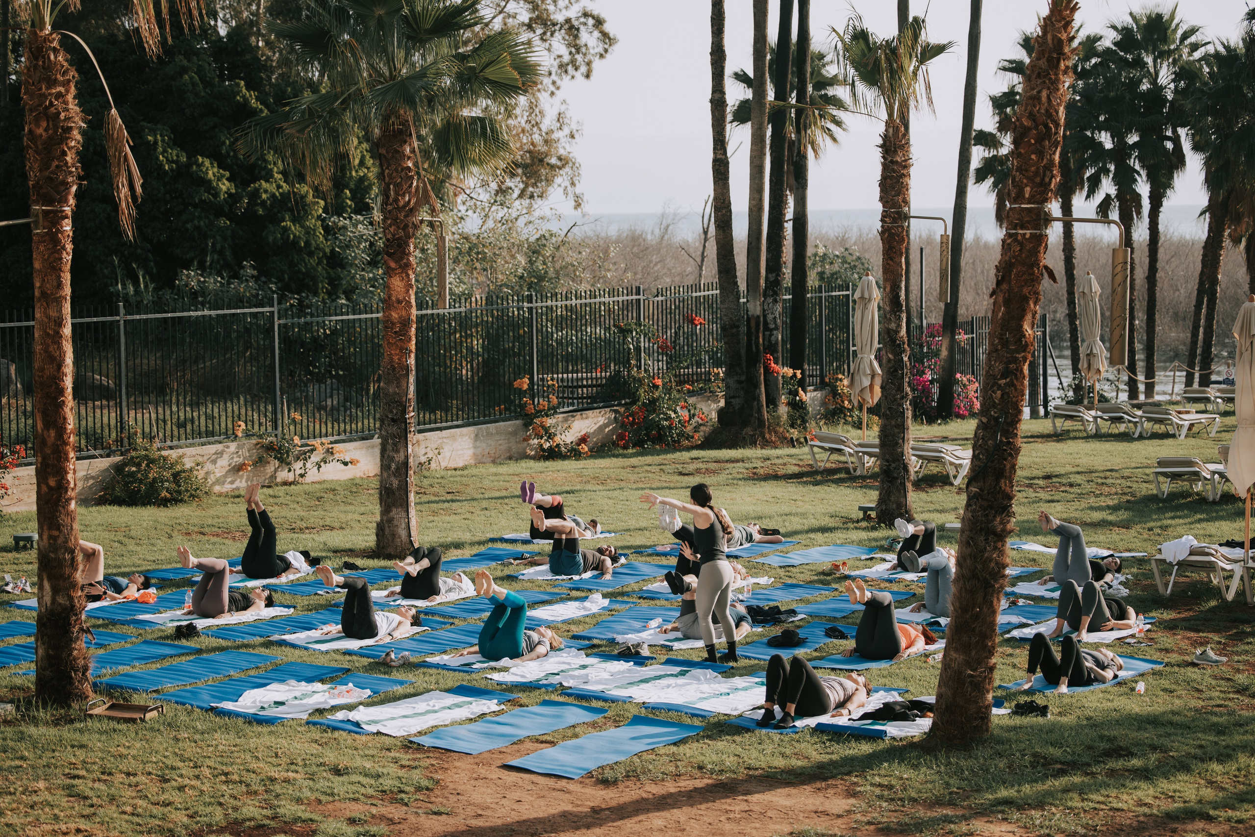 Pfizer. AMIR BUCHNIK PHOTOGRAPHER