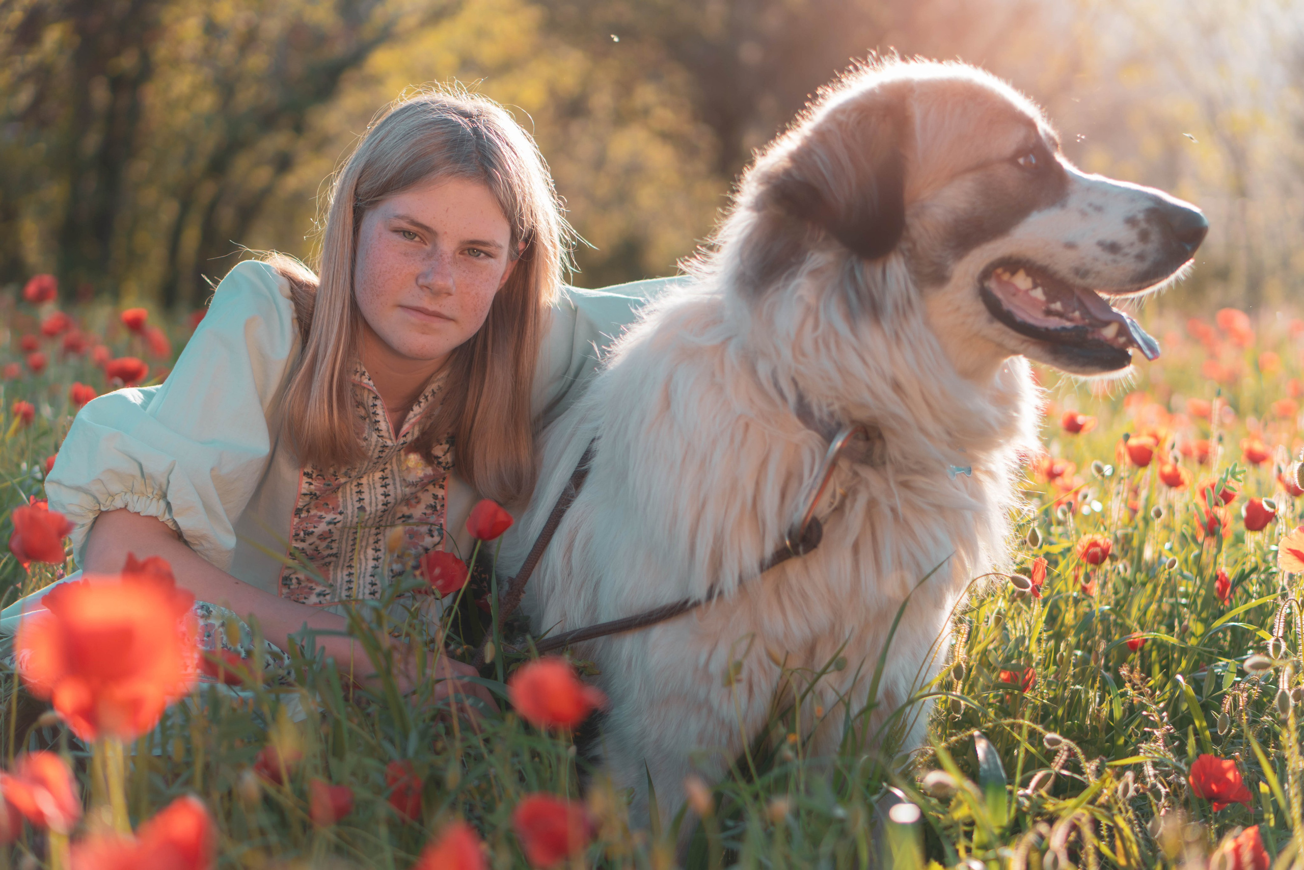 Agnia & Amapolas. Alba del Norte Studio