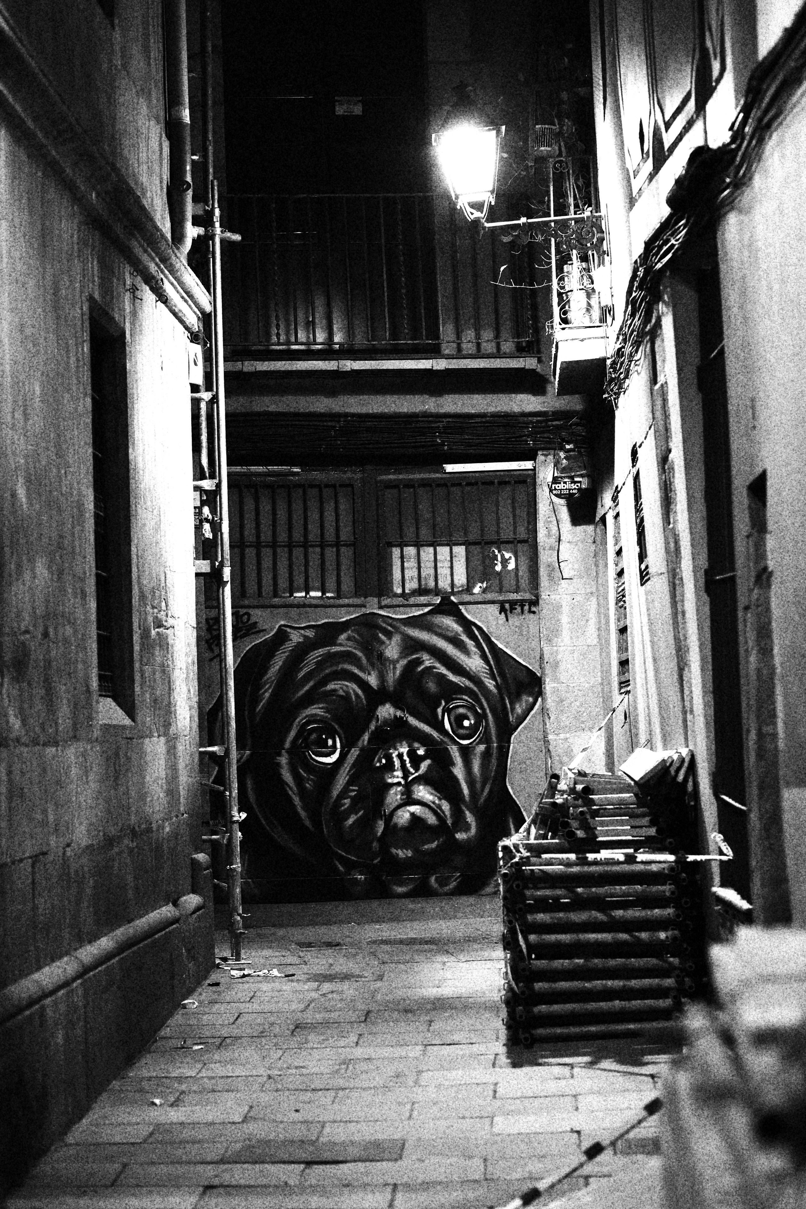 Diario Barcelonés. BNW Around Photography