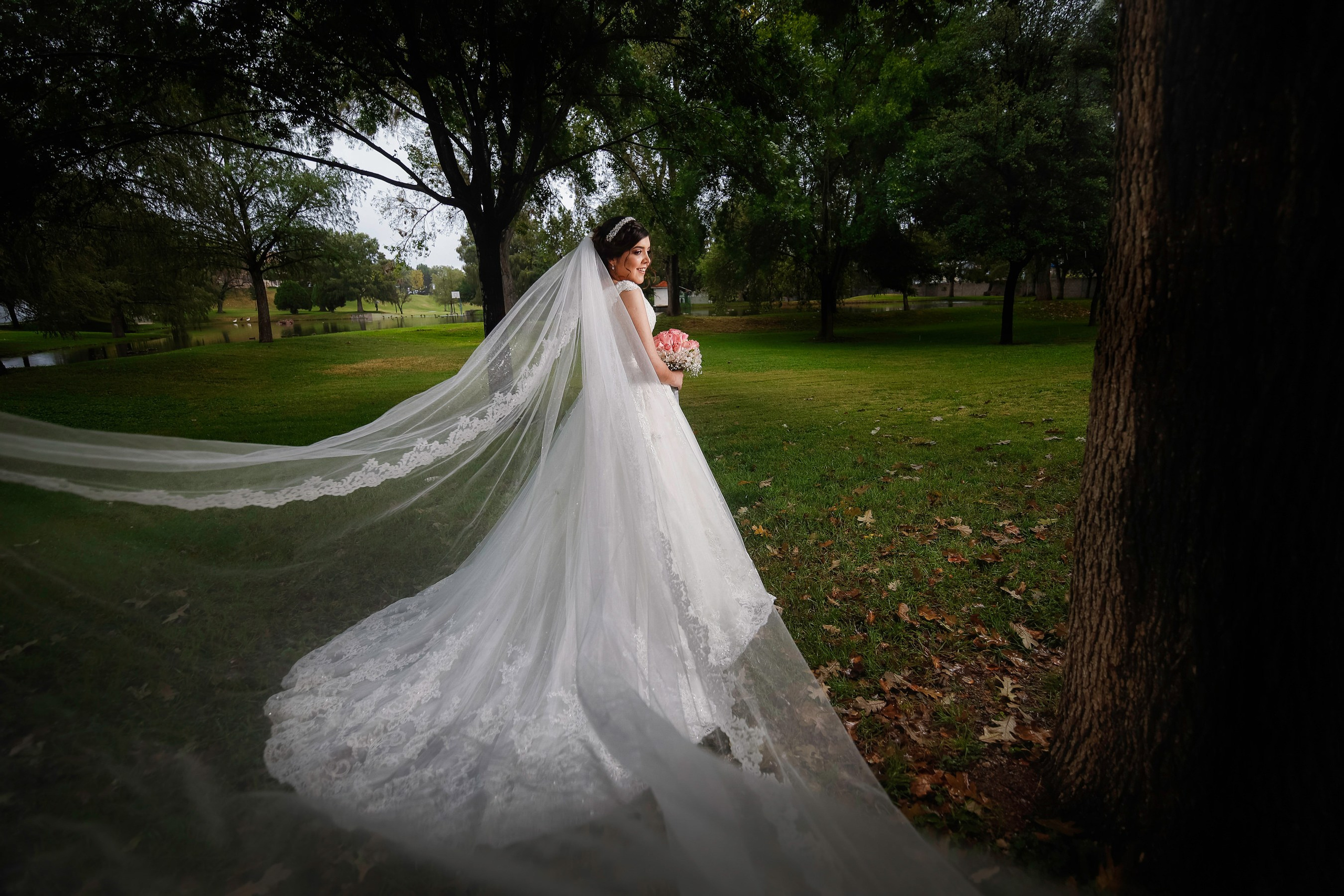 Wedding. Professional Photographer in Chihuahua, Mexico — Alex Mendoza