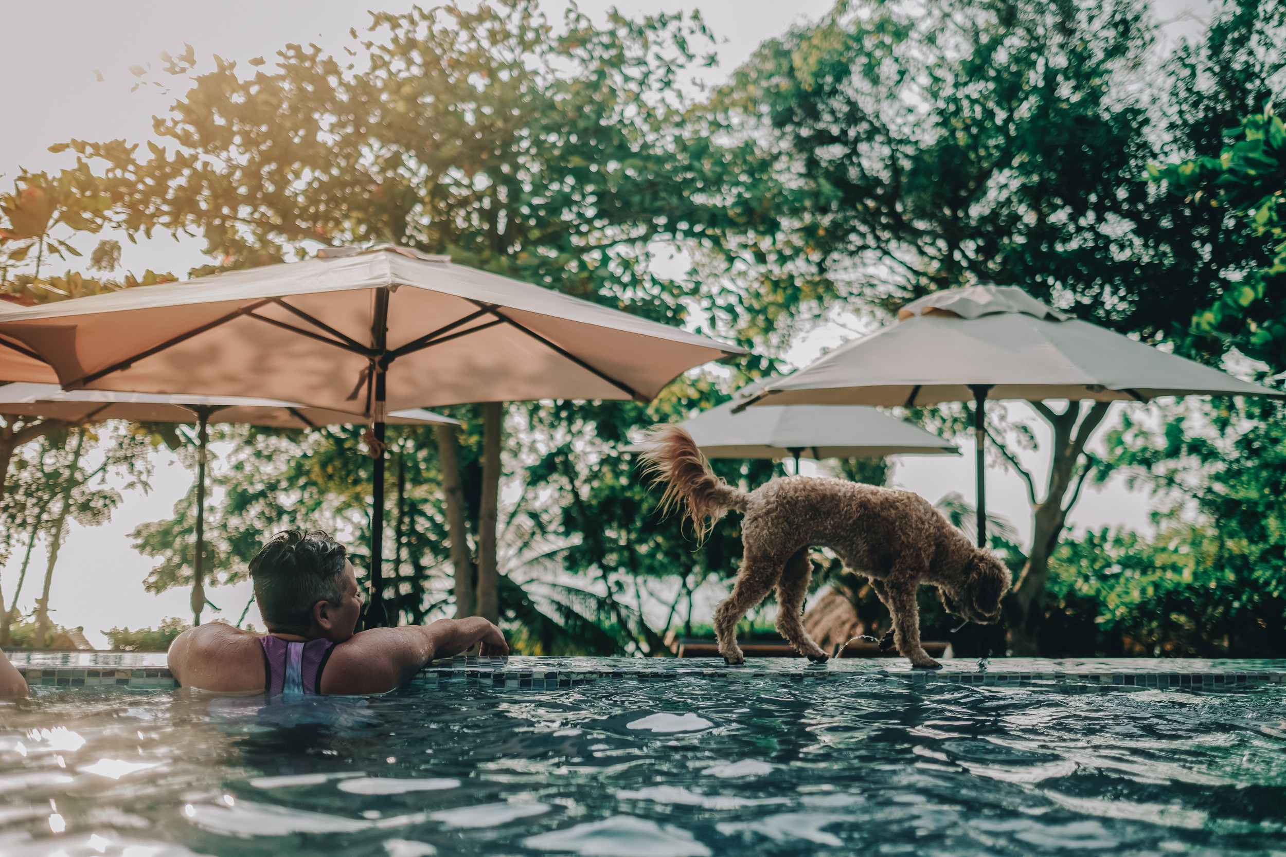 Matew & Andrew. UNTERCIO BODAS