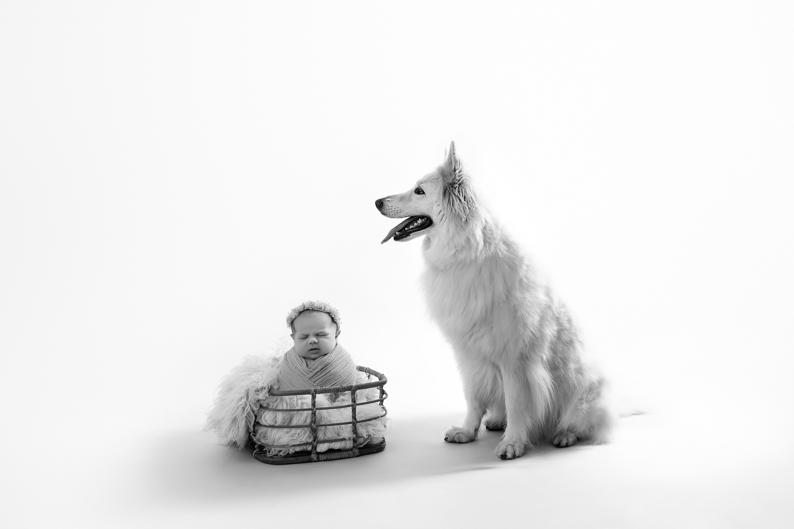 Neugeborene. Neugeborene- Schwangerschaft- und Kinder Fotografin in Lehre