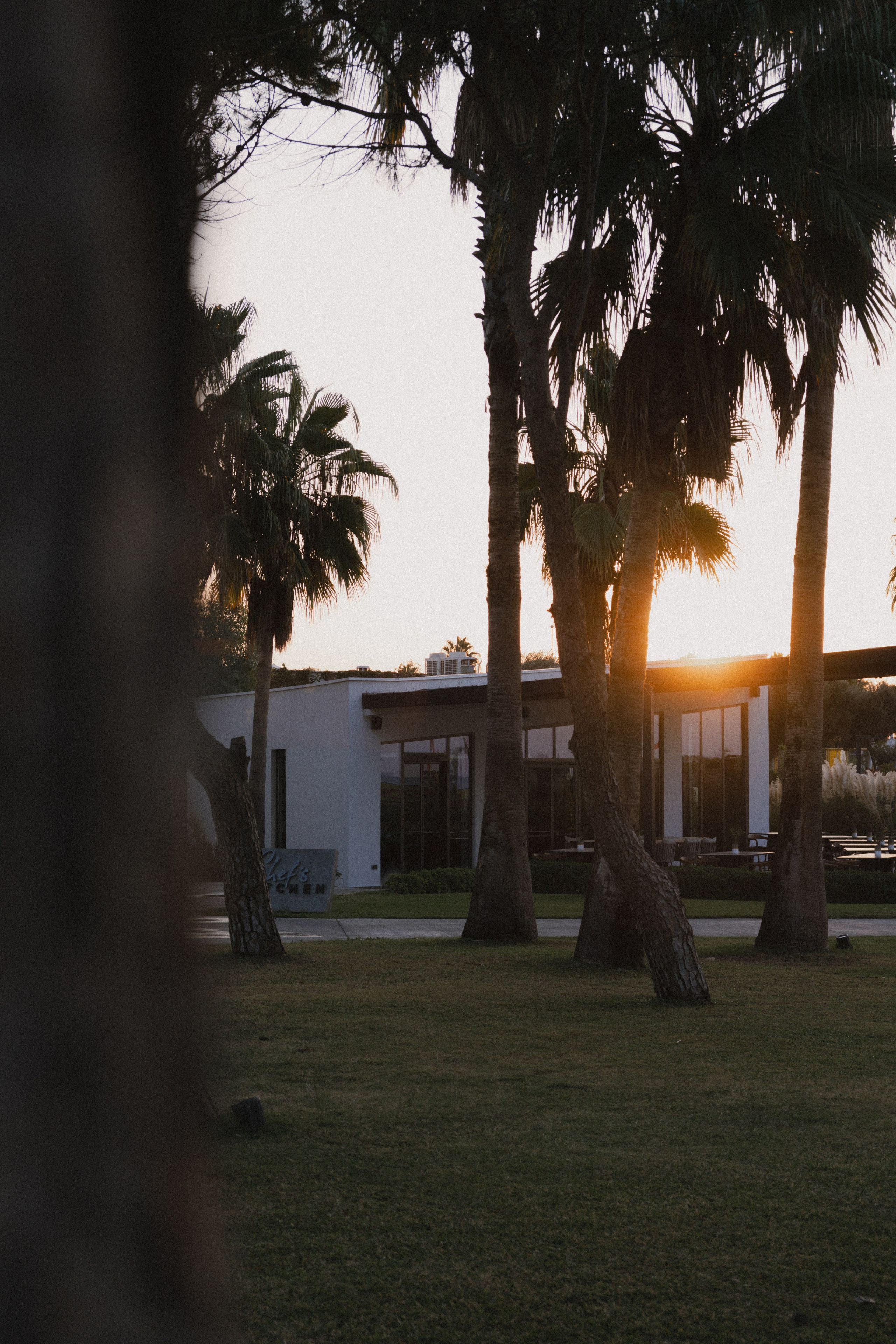 Paloma Finesse. Professional photographer and videographer specializing in filming hot