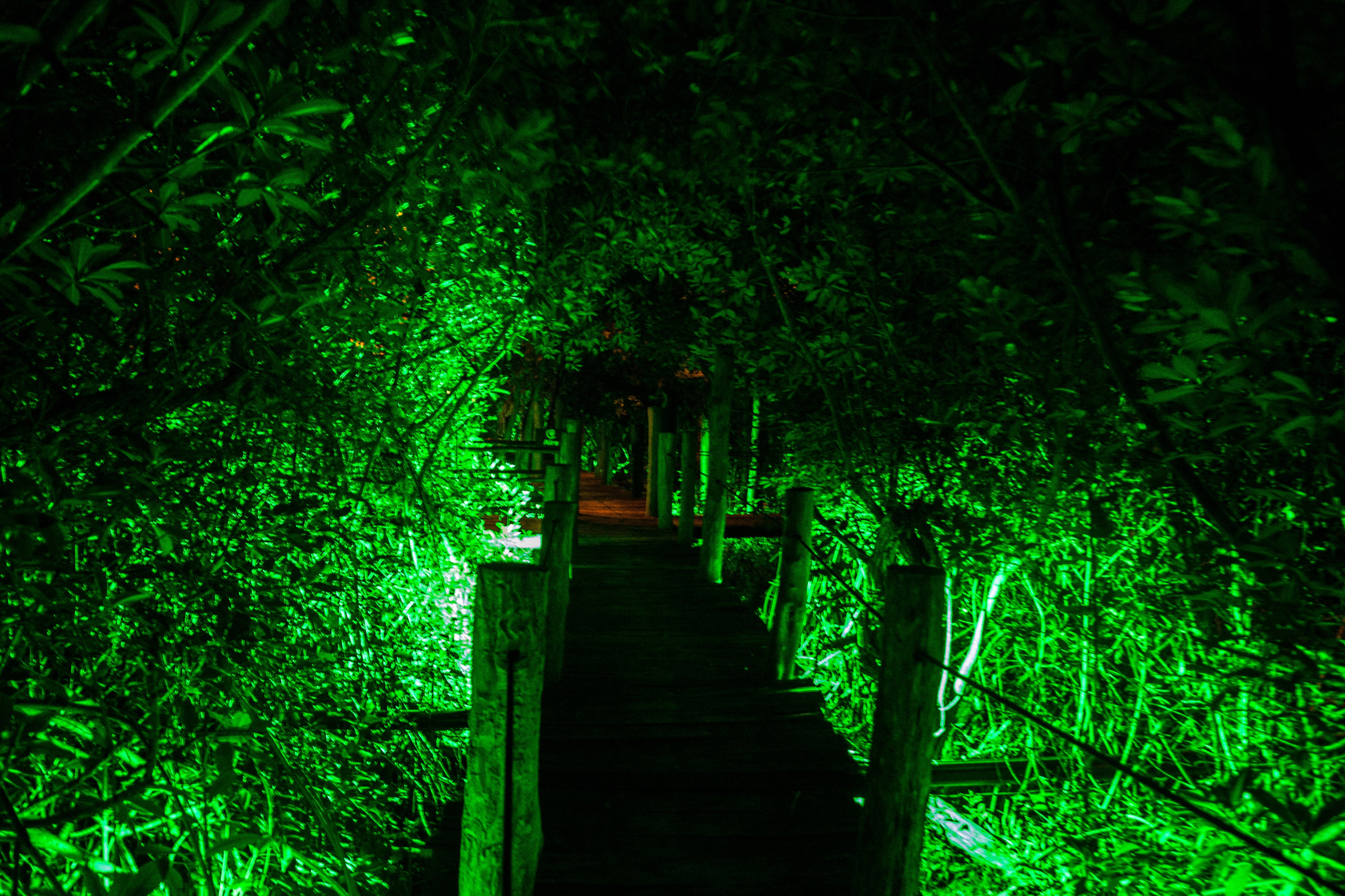 EXHIBITION. Lero Photographer and a set designer|individual custom portrait and advertising photography in Zutphen