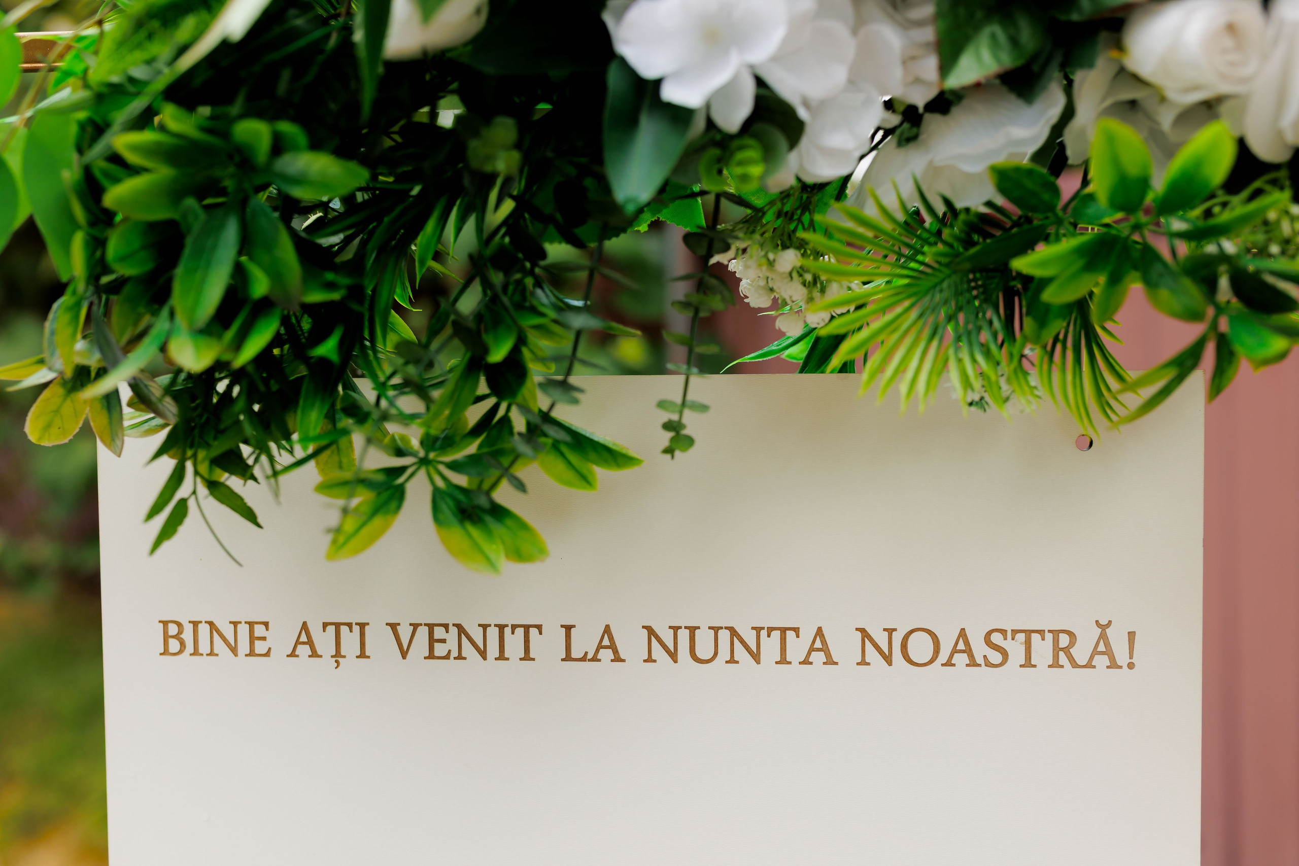 Nunta Nicoleta & Răzvan | Fotografie & Videografie Profesională. Servicii foto-video profesionale, pentru momente de neuitat