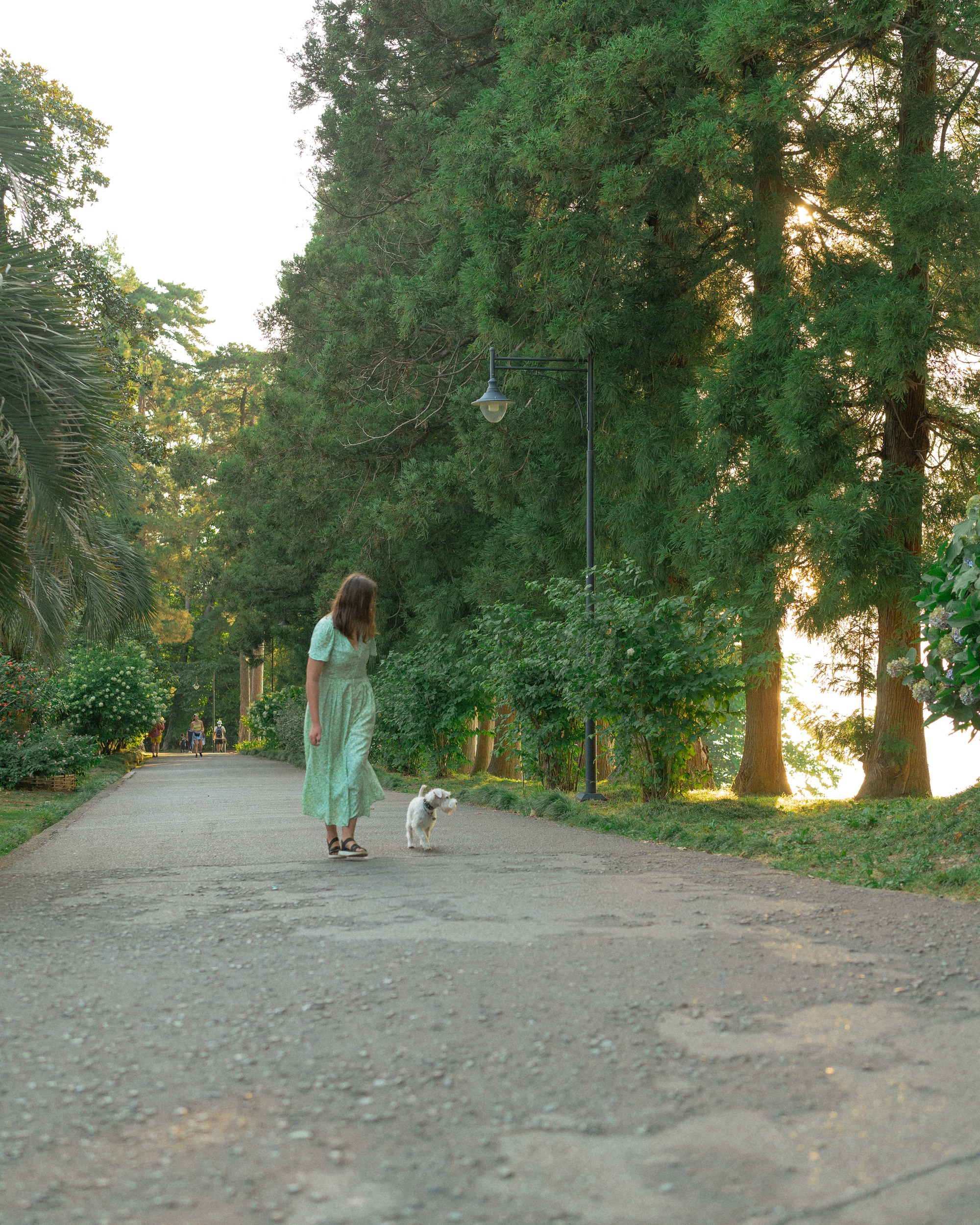 Ольга и Халва. Индивидуальный и свадебный фотограф в Батуми Валерия Азаренко