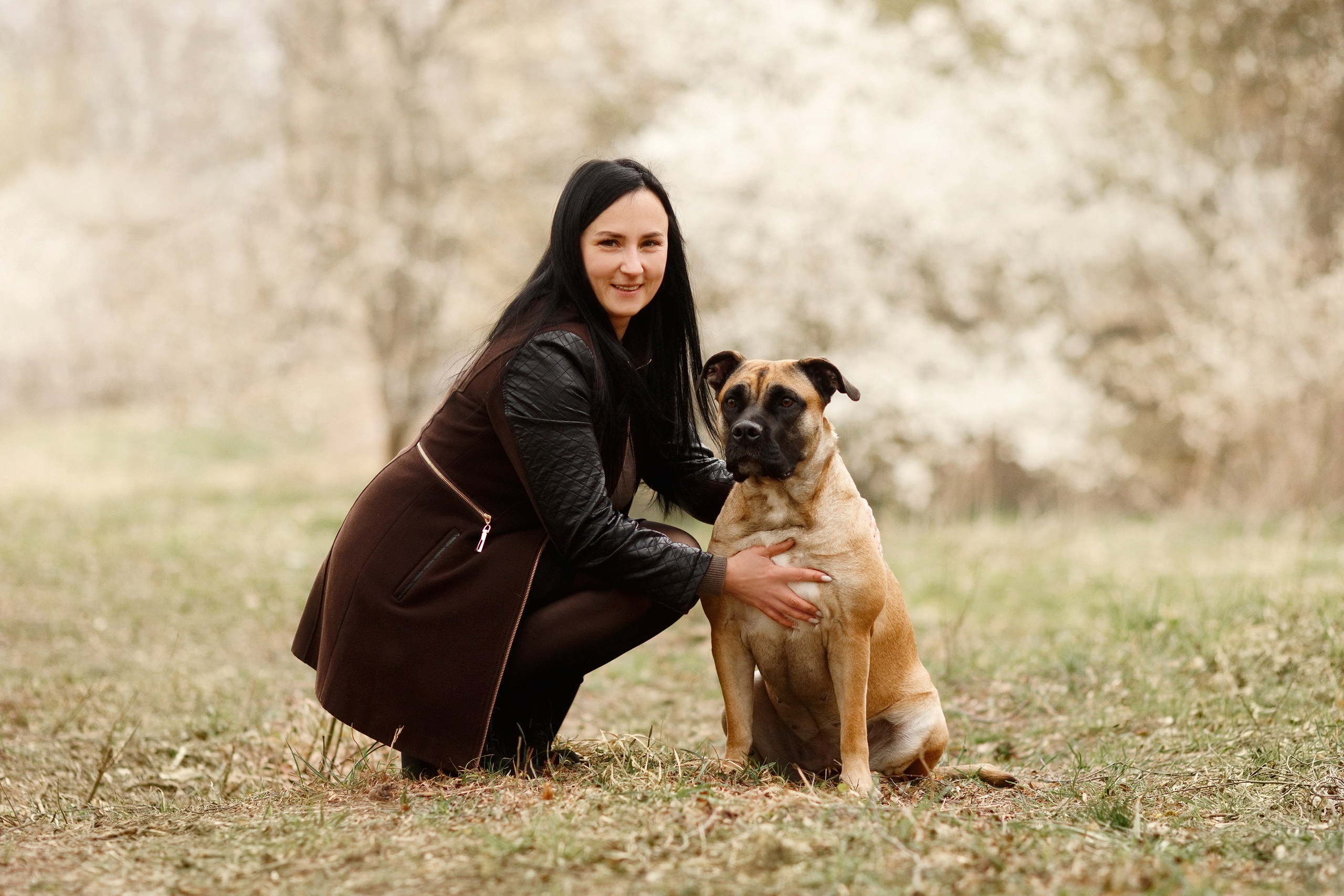Spring ca de bou. Kaja | fotograf psów we Wrocławiu