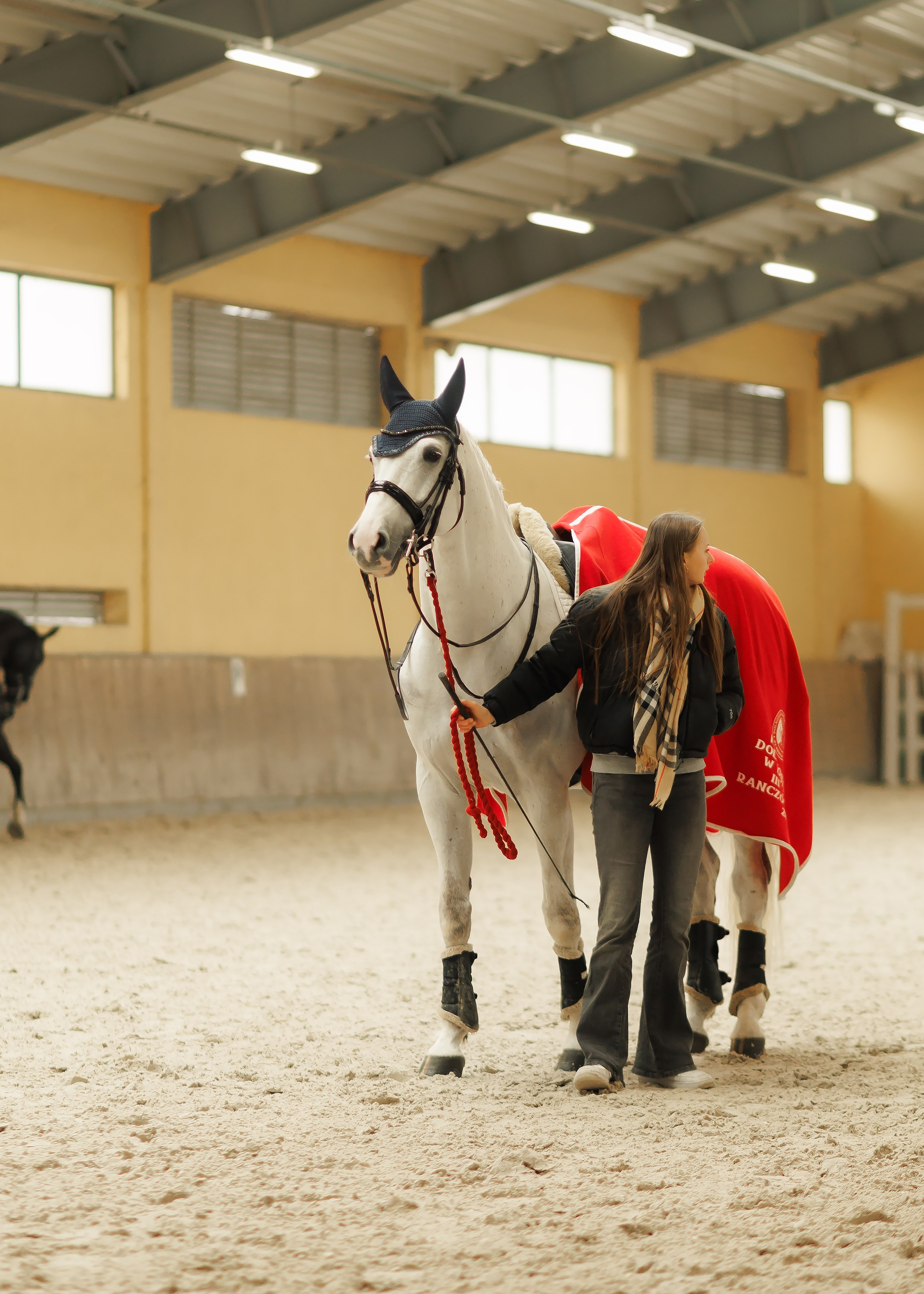 Fotografia koni Wrocław \ ujeżdżenie, Partynice. Kaja | fotograf we Wrocławiu | ludzie i psy