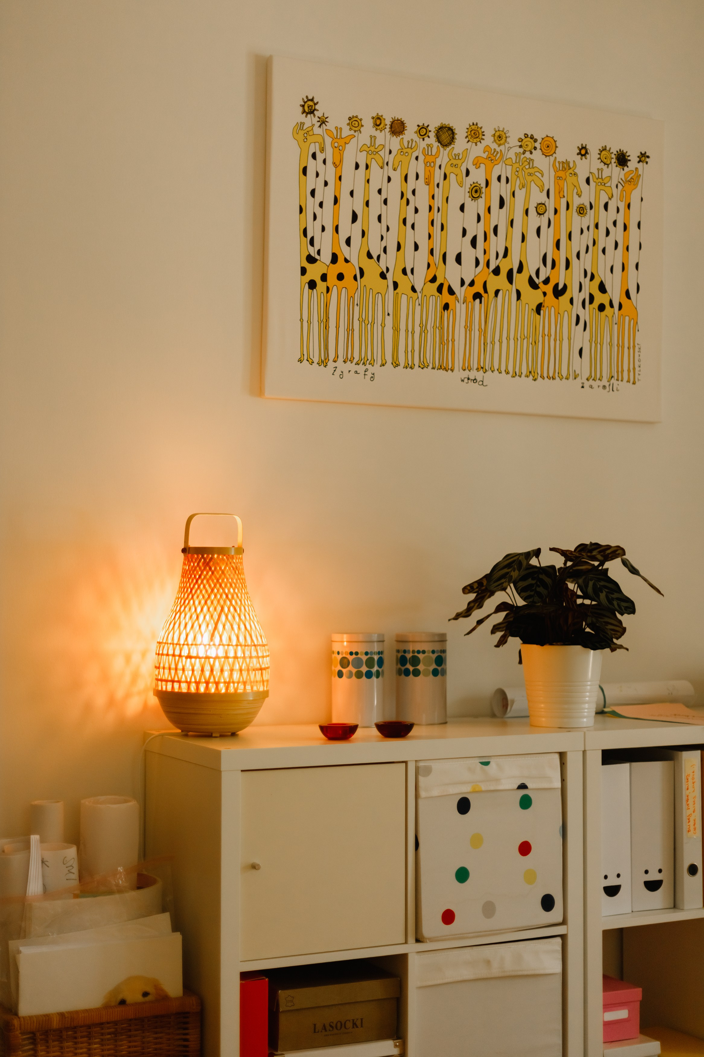 Małgorzata | business portrait. Kaja | fotograf we Wrocławiu | ludzie i psy