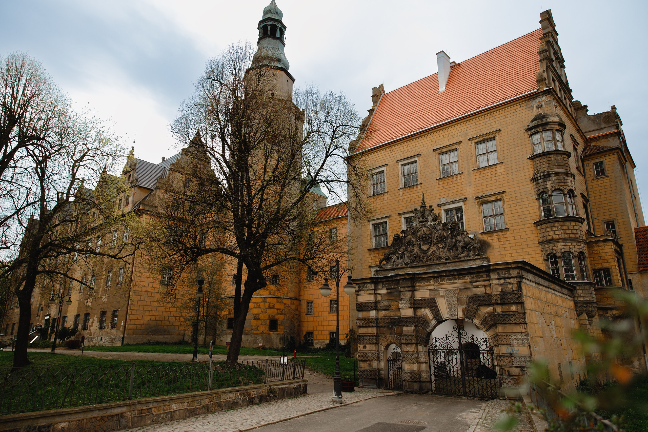 Oleśnica castle. Kaja | fotograf psów we Wrocławiu