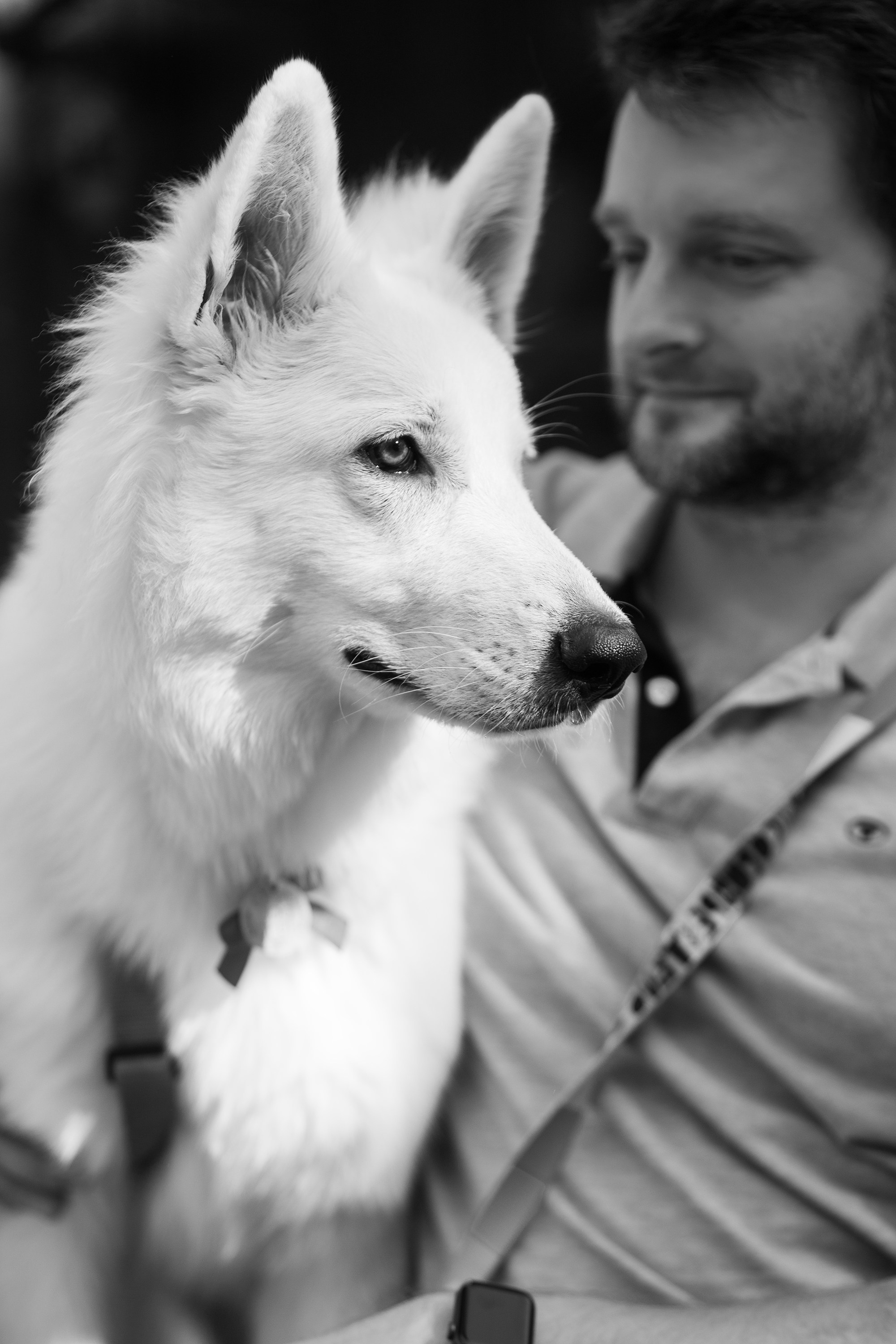 Astra in Leipzig. Kaja | fotograf we Wrocławiu | ludzie i psy