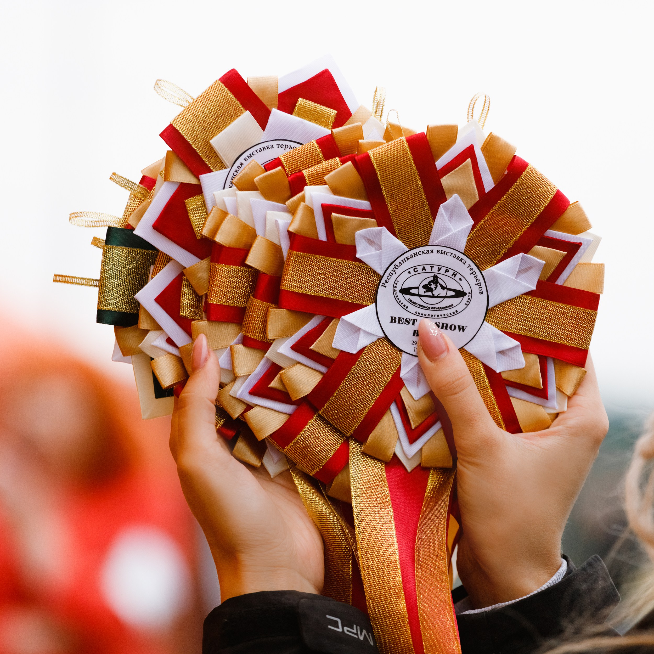 Rainy dog show in Grodno. Kaja | fotograf we Wrocławiu | ludzie i psy