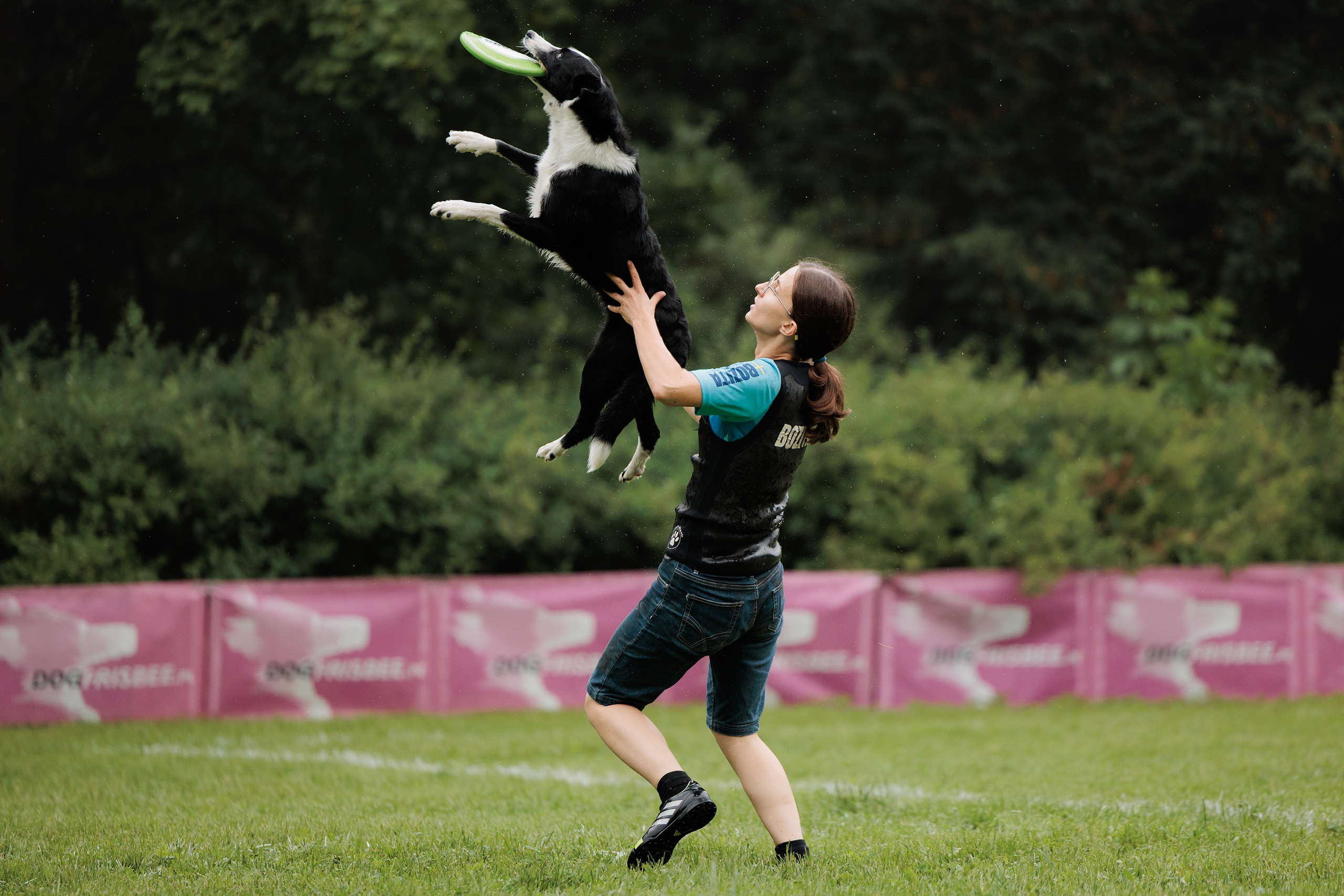 Latające psy, Wrocław'25. Kaja | fotograf psów we Wrocławiu