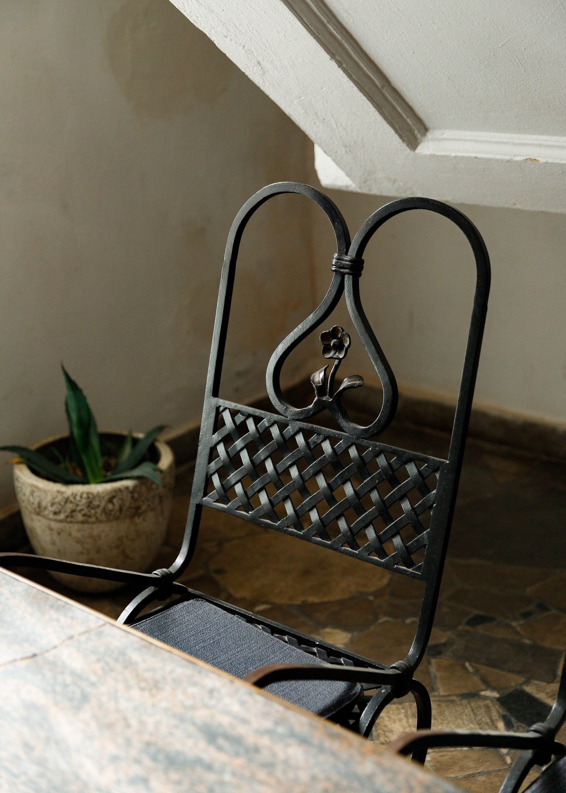 Oleśnica castle. Kaja | fotograf psów we Wrocławiu