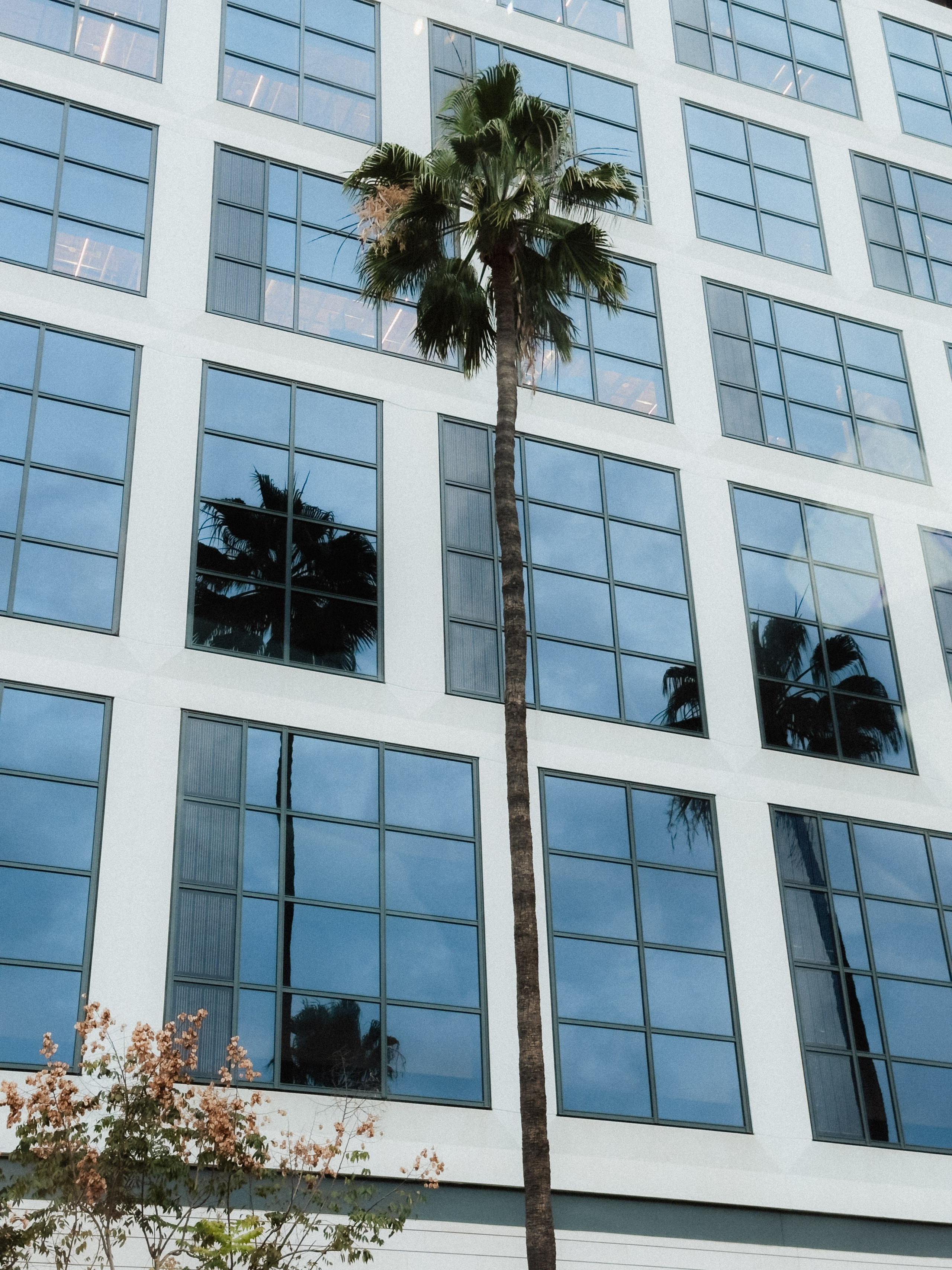 Los Angeles. Aleks.photo | Book a photoshoot