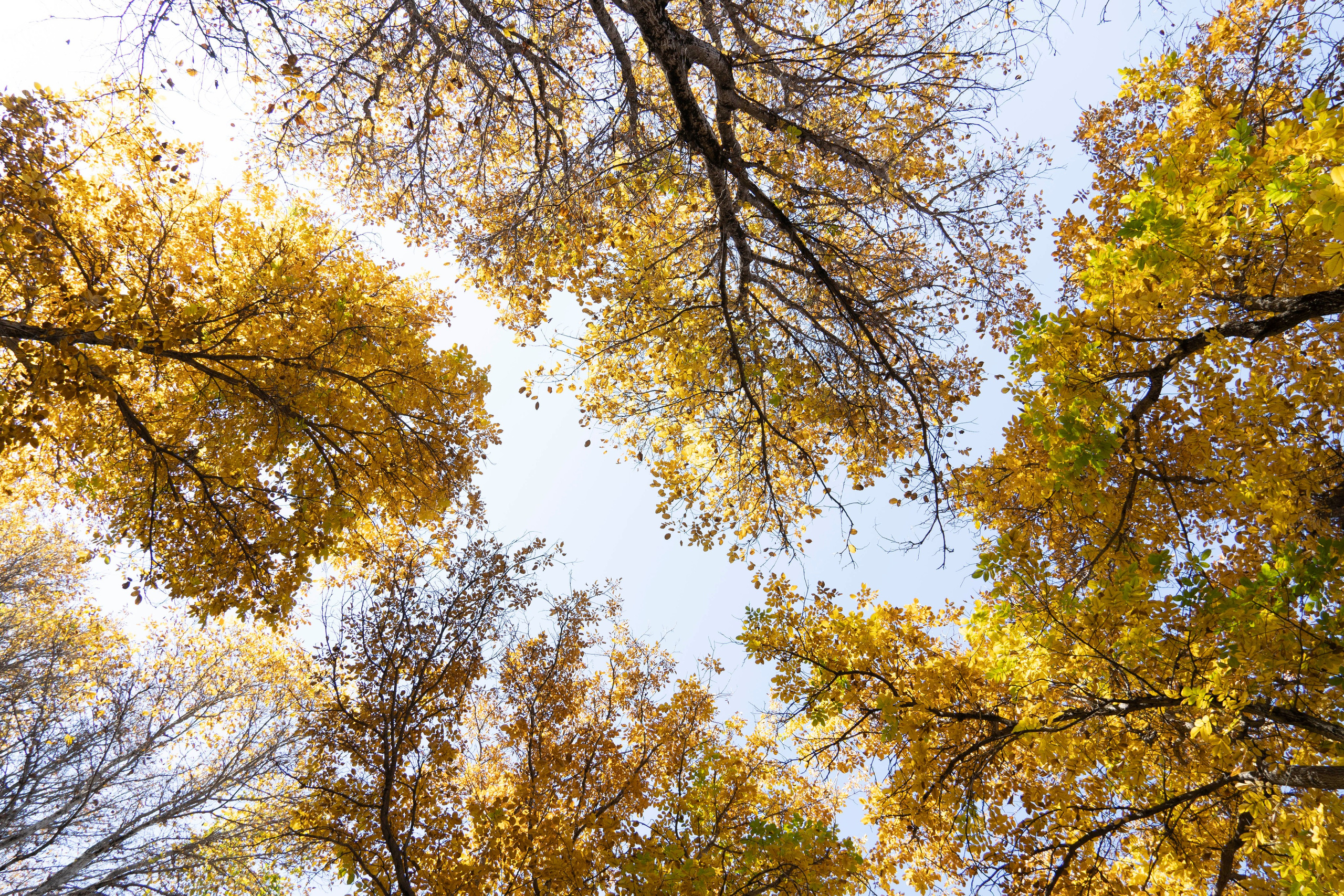 Landscape. Melikov Amir, Uzbekistan based photographer
