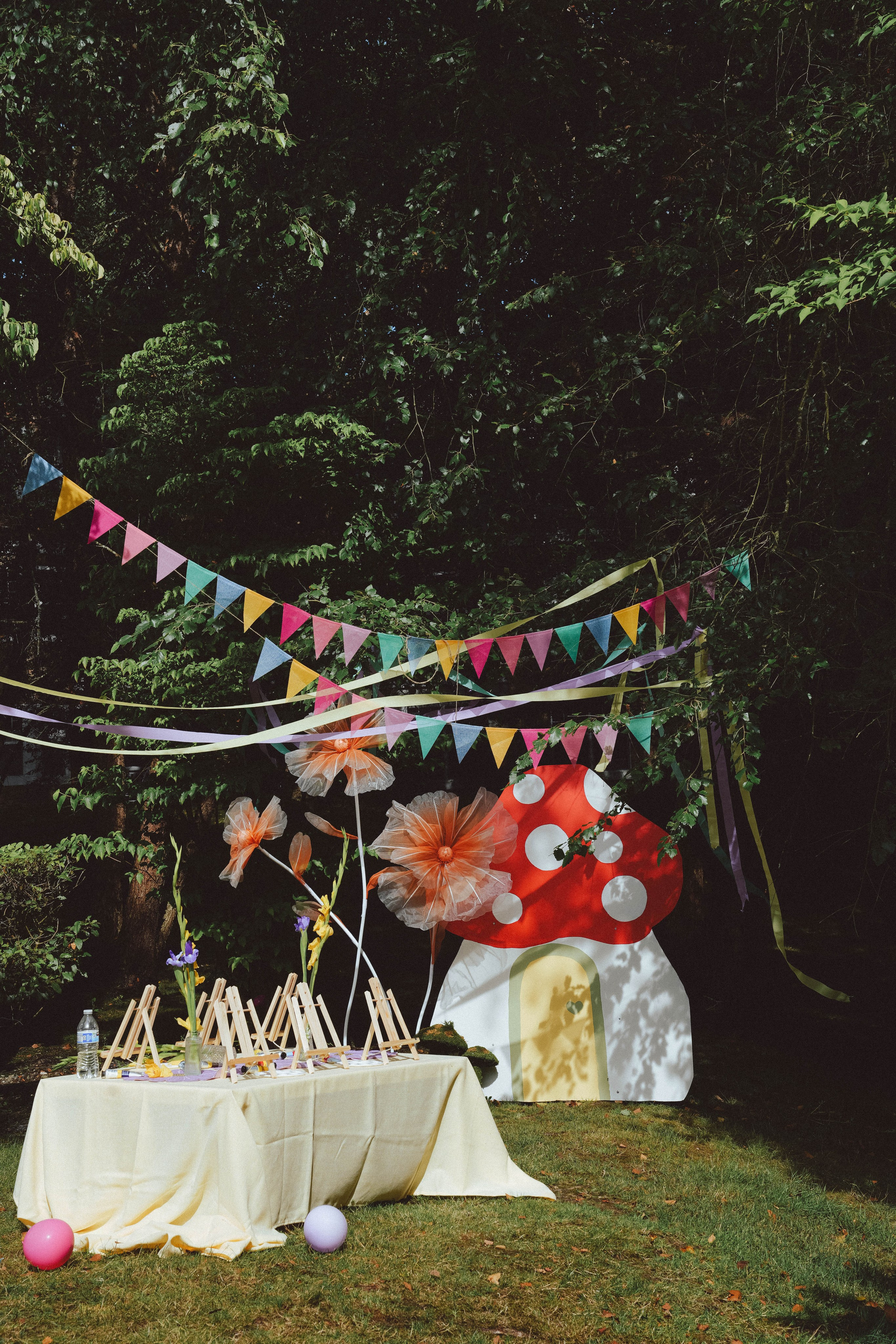 Kids' Birthday Parties. Photographer & Videographer Ksu