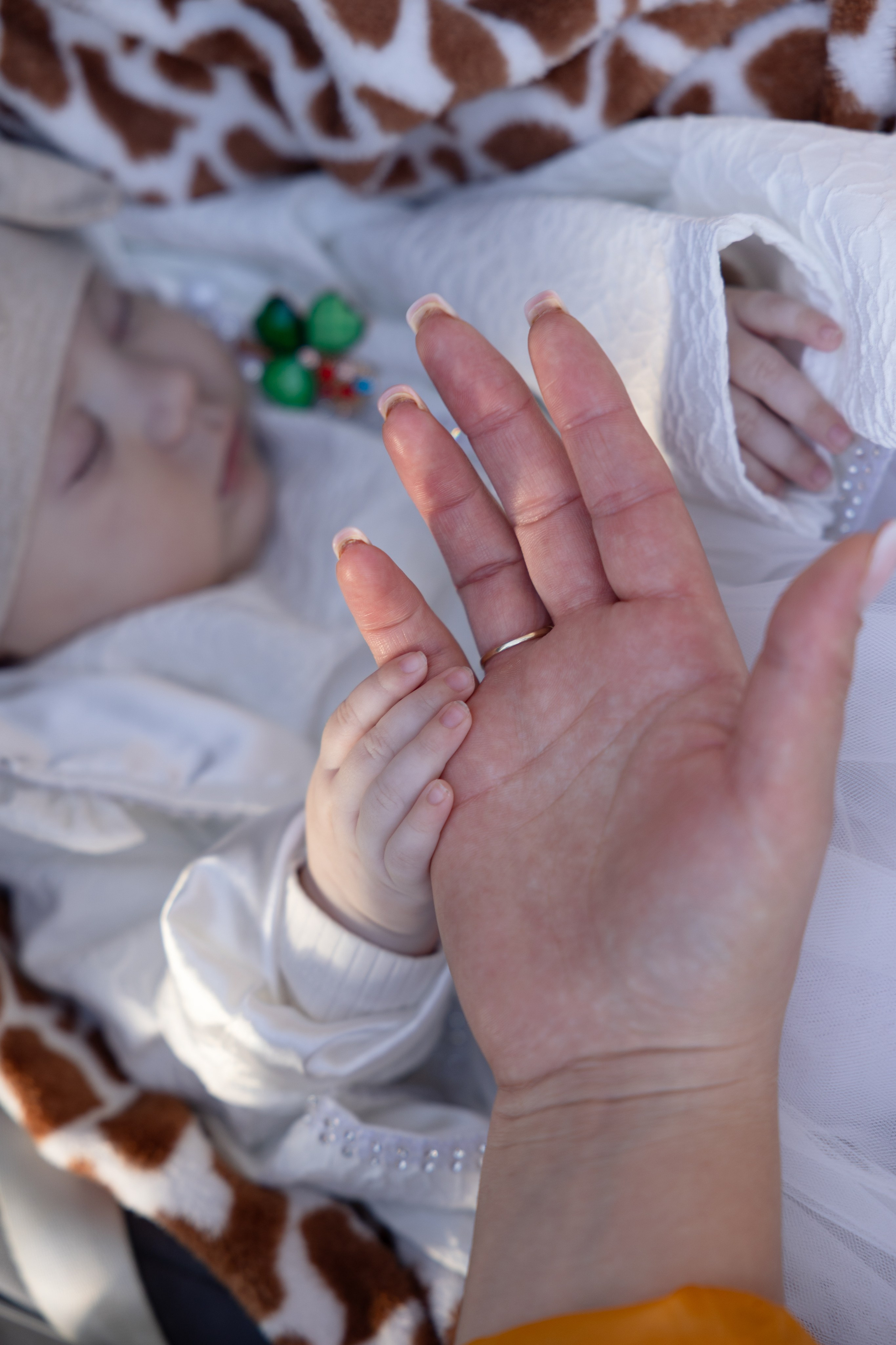 Botez. Portrait and Family Photographer in Netherlands