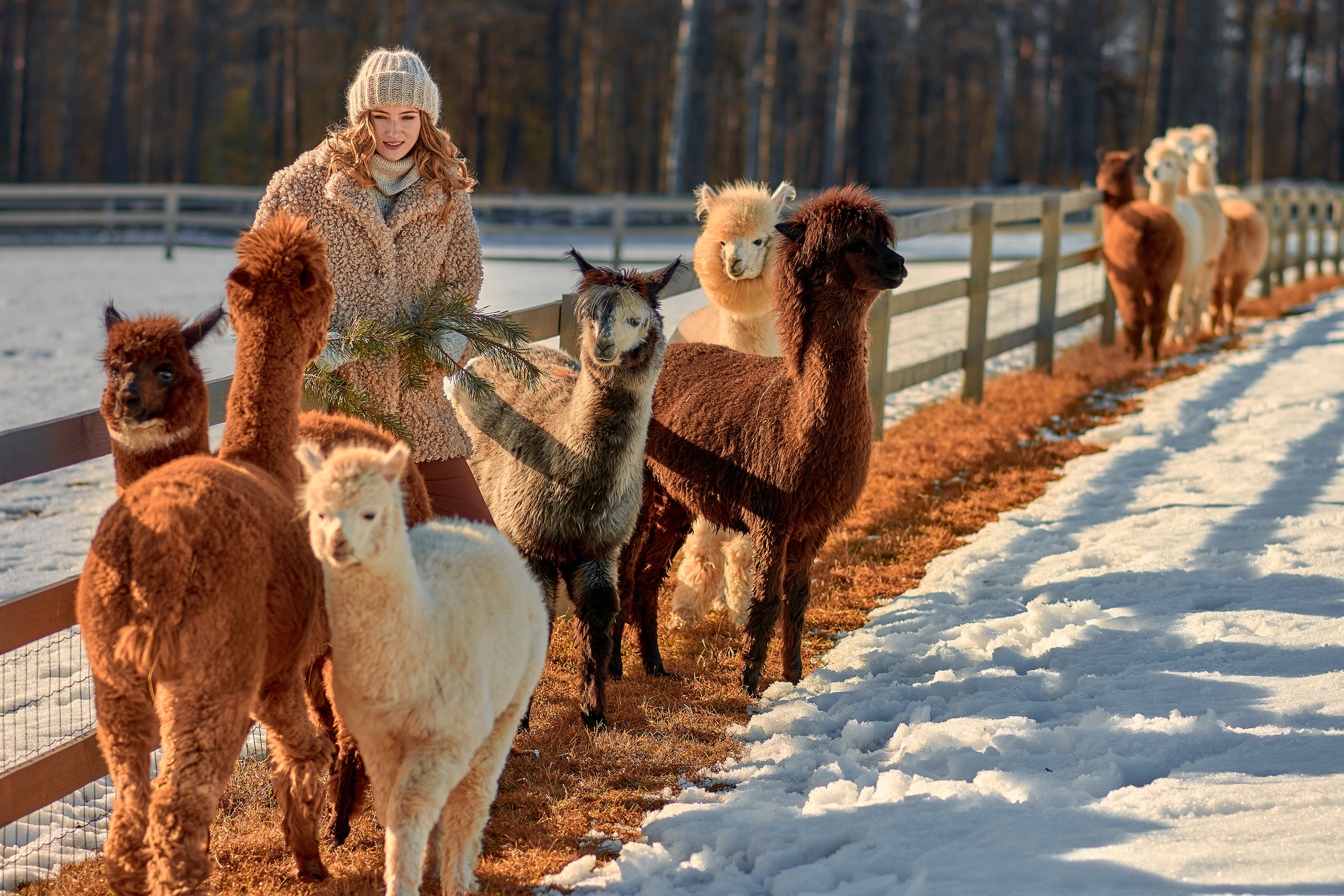 Dita. Fotogrāfs Aivars MIleika