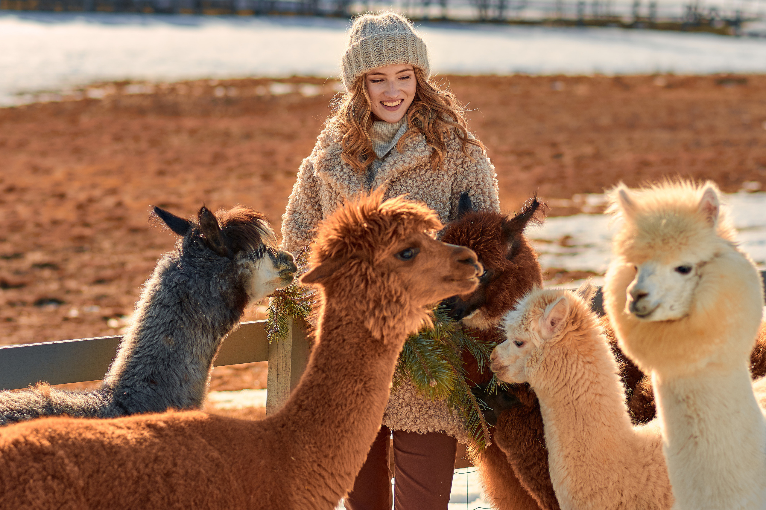 Dita. Fotogrāfs Aivars MIleika