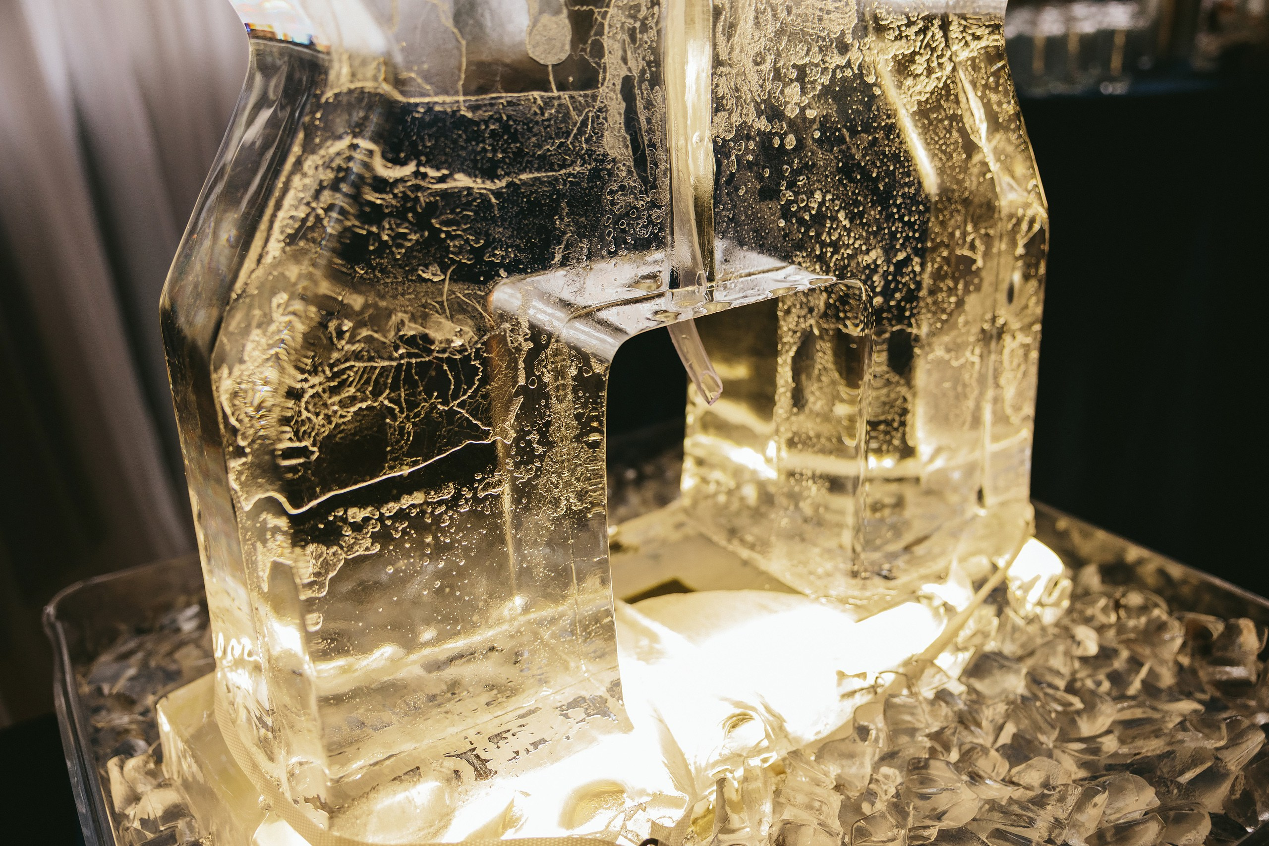 06.08.2025 Wedding. Wedding family event photographer in Chicago Nick Yushevich