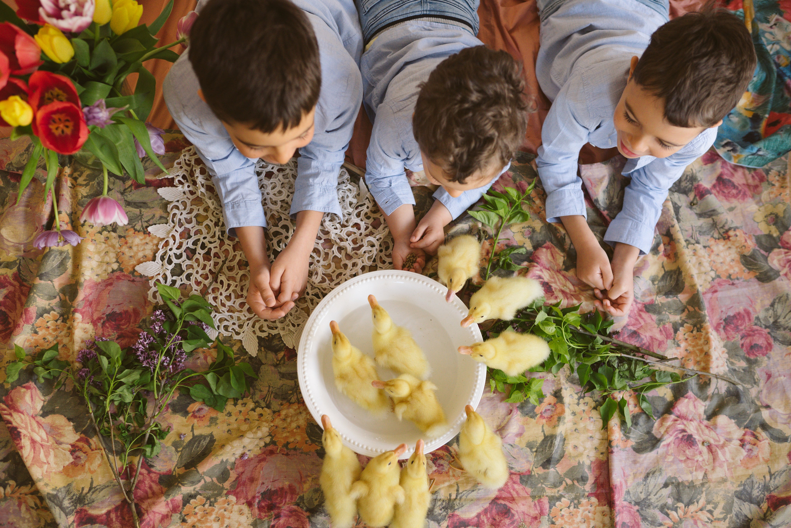 Ședințe Foto de Paște Brașov: Gălbenuș | Mădălina Beda. Madalina Beda- Artist vizual, fotograf, doula la nastere, consultant babywearing Brasov si in toata tara