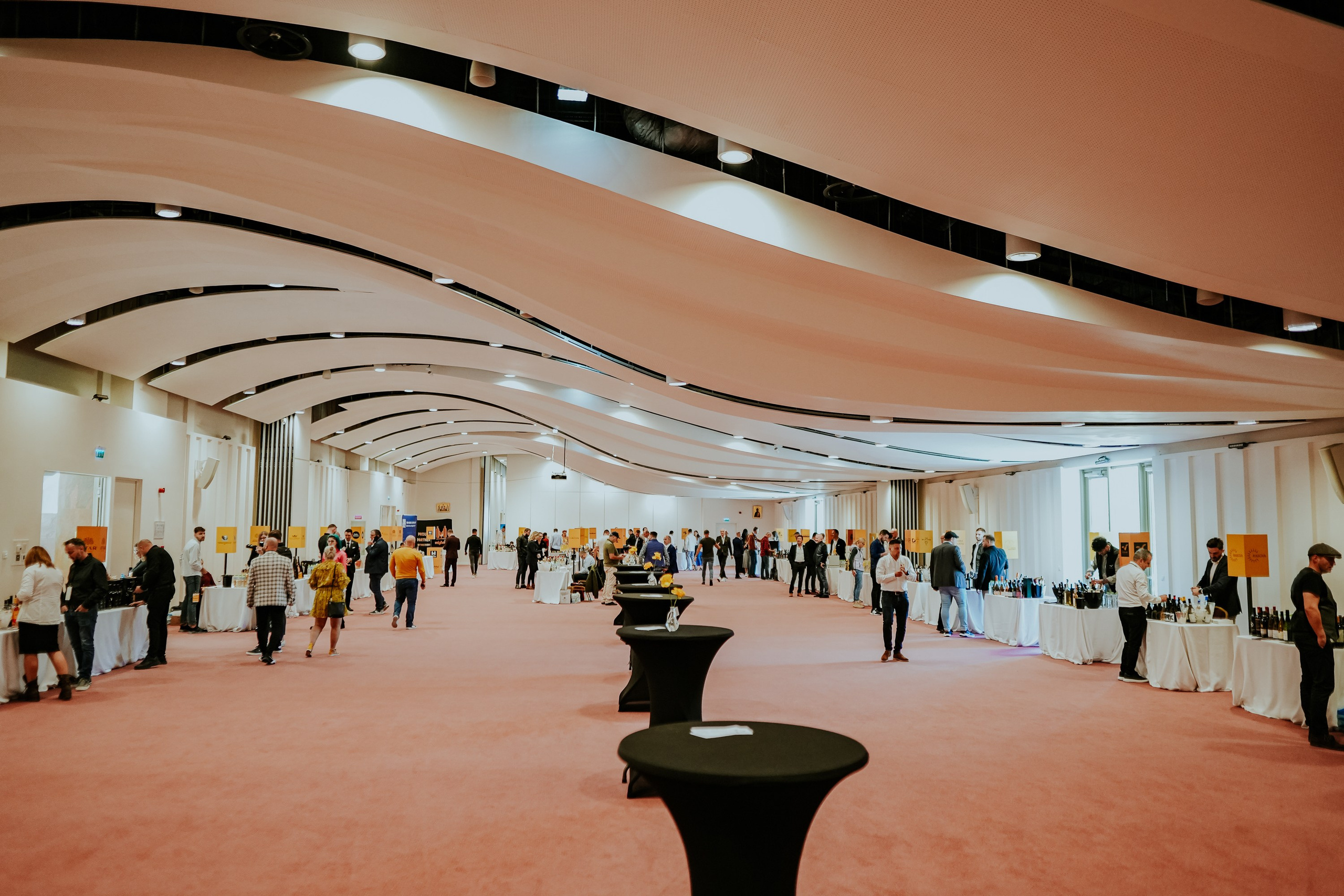 Hai cu Pluta — Wine Event. MARINABUGS