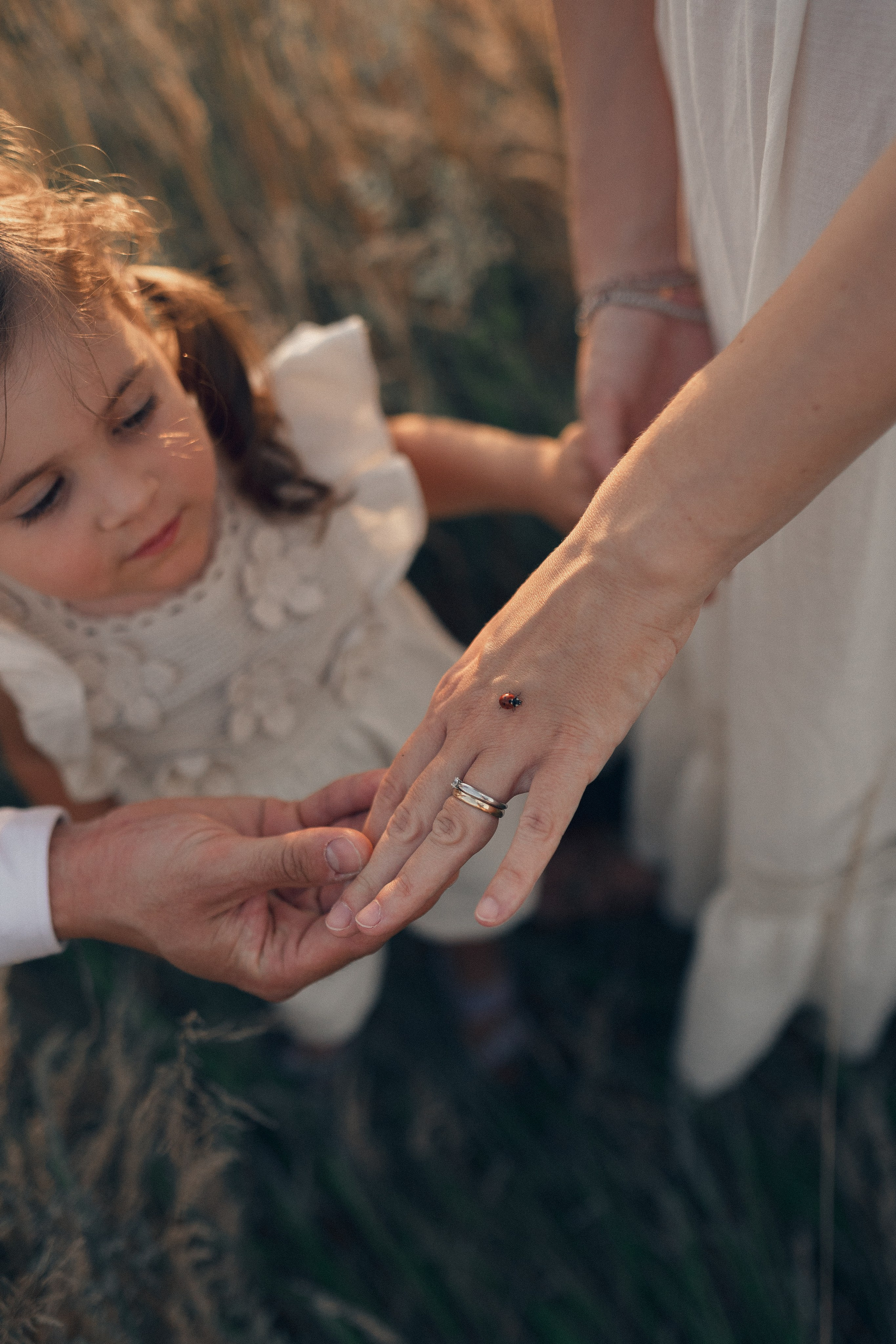 Fotografa maternità a Milano – donna incinta avvolta dalla luce del sole al tramonto