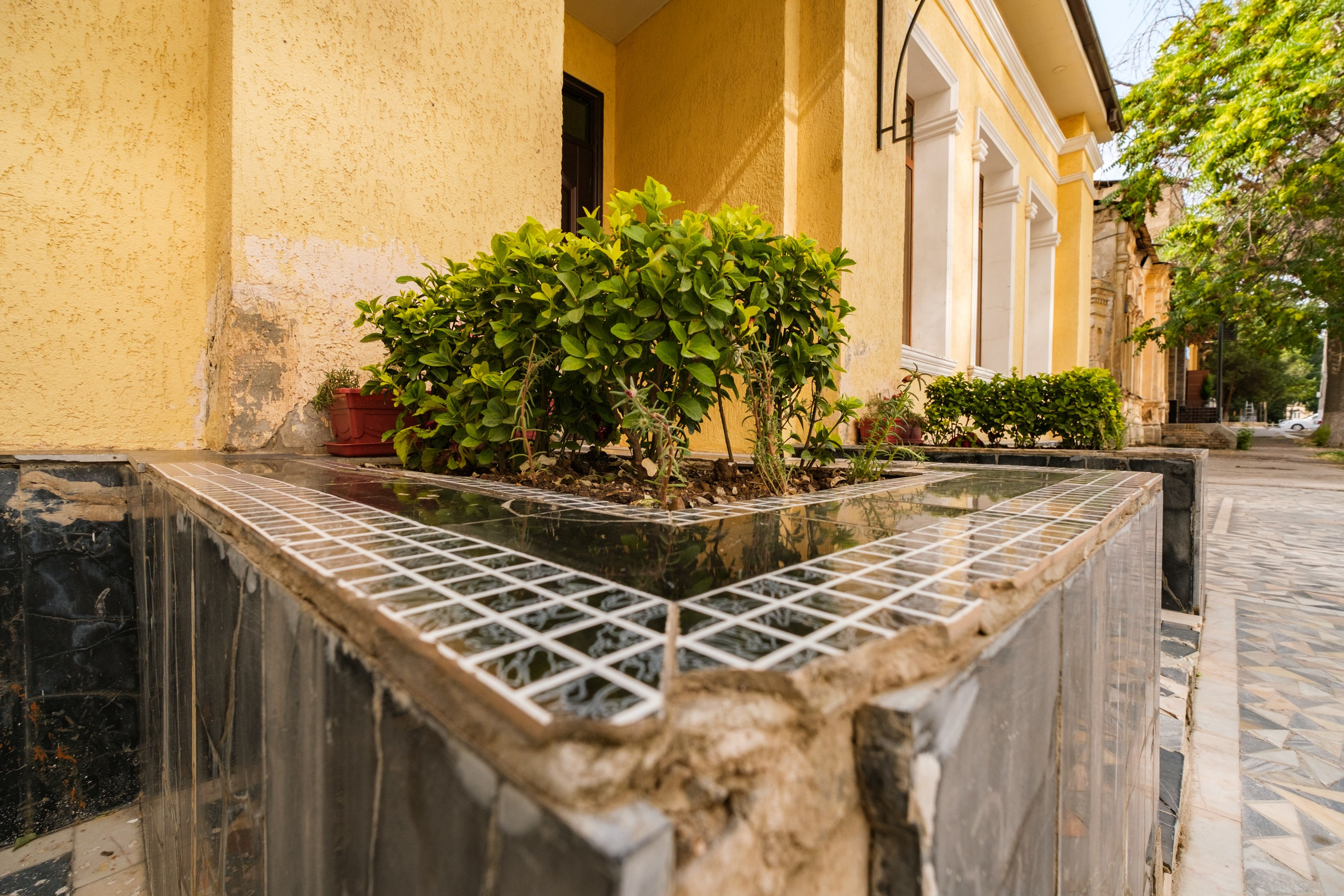 SIGMA 10-18mm DC DN (X-mount). Фотограф Григорий Кравец