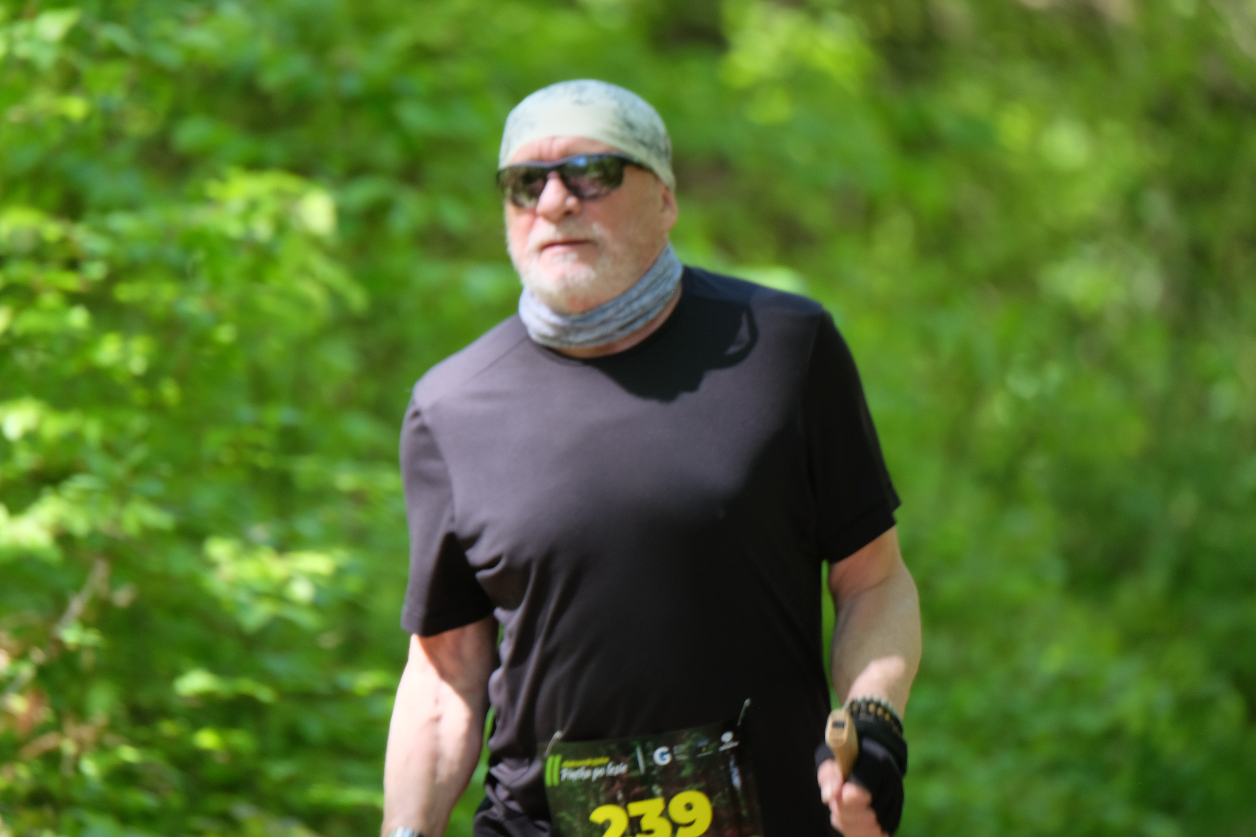 Aleksandryjska Piątka po lesie. Main