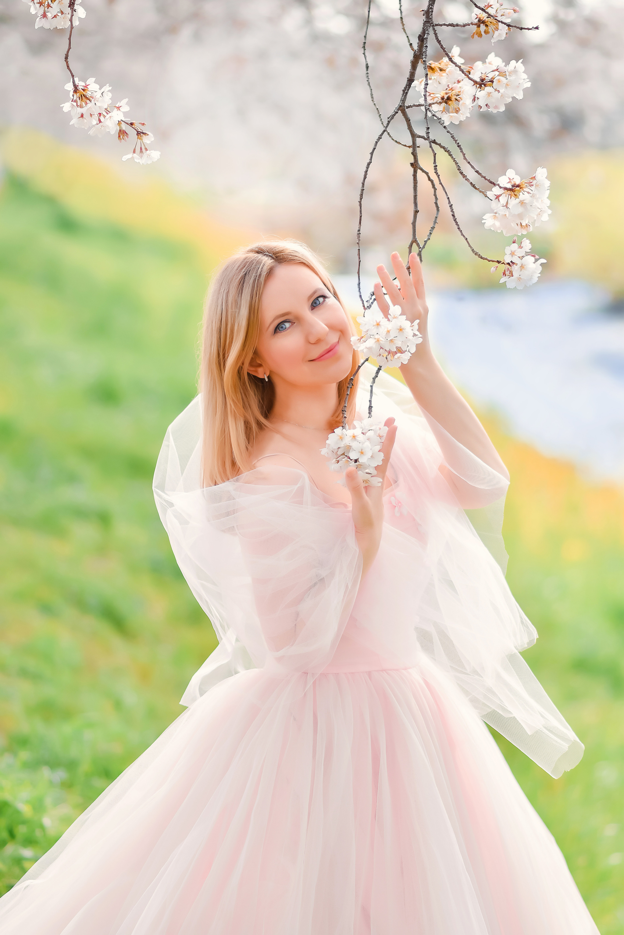 Announcements. Photographer in Tokyo, Japan